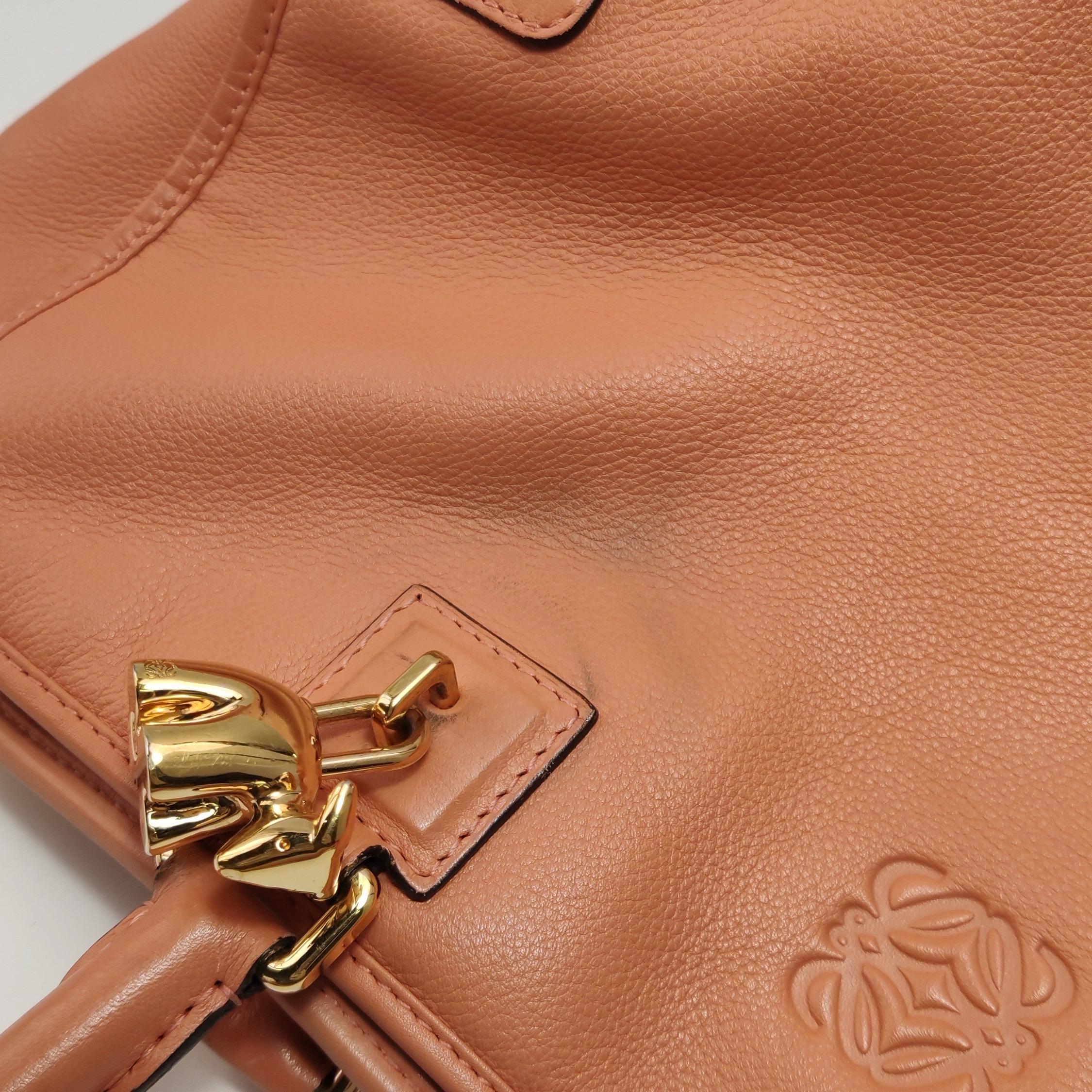 Loewe Amazona Medium 36 Cuir Corail Clair Avec Bandoulière Animal Chèvre Verrouillé en vente 12