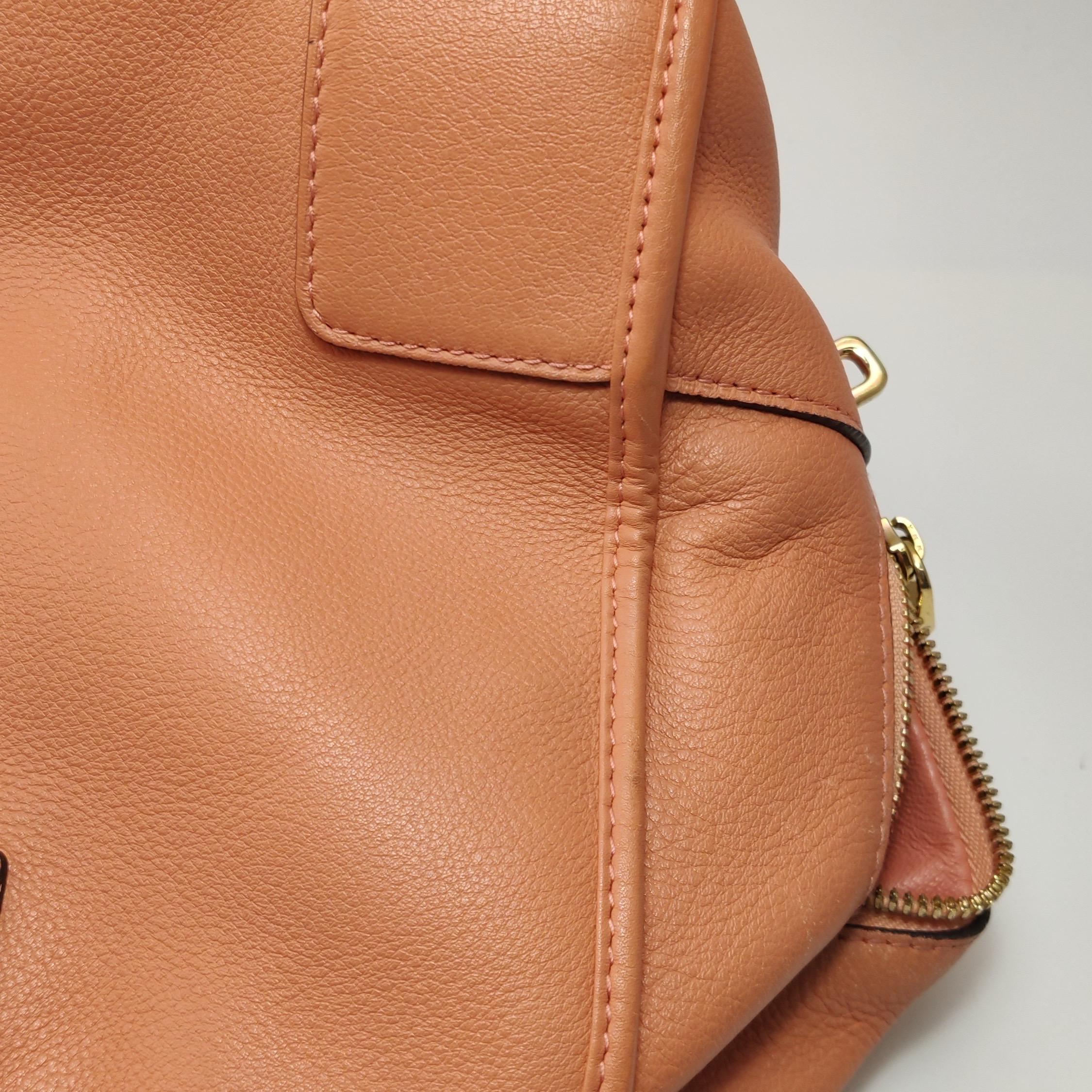 Loewe Amazona Medium 36 Cuir Corail Clair Avec Bandoulière Animal Chèvre Verrouillé en vente 13