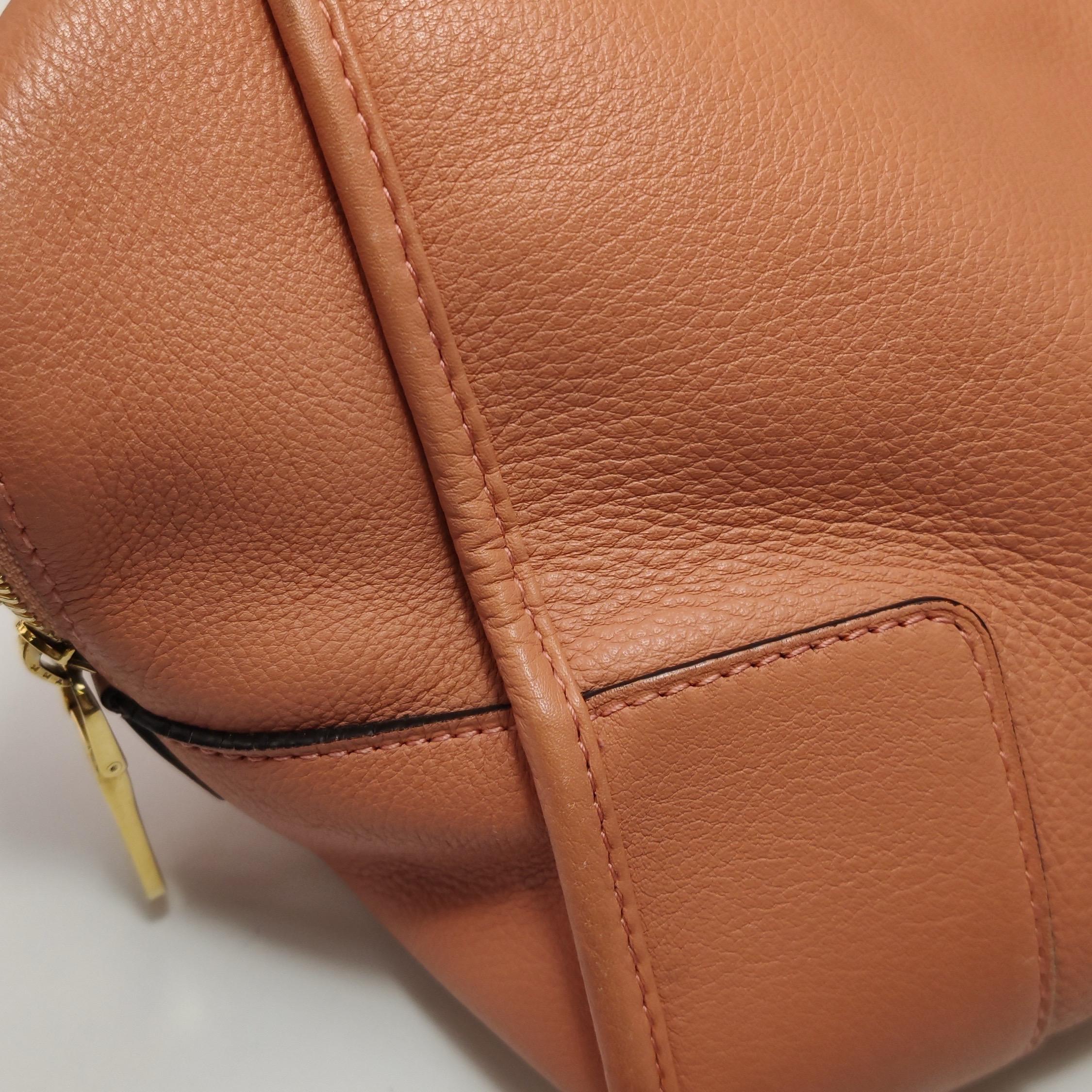 Loewe Amazona Medium 36 Cuir Corail Clair Avec Bandoulière Animal Chèvre Verrouillé en vente 15