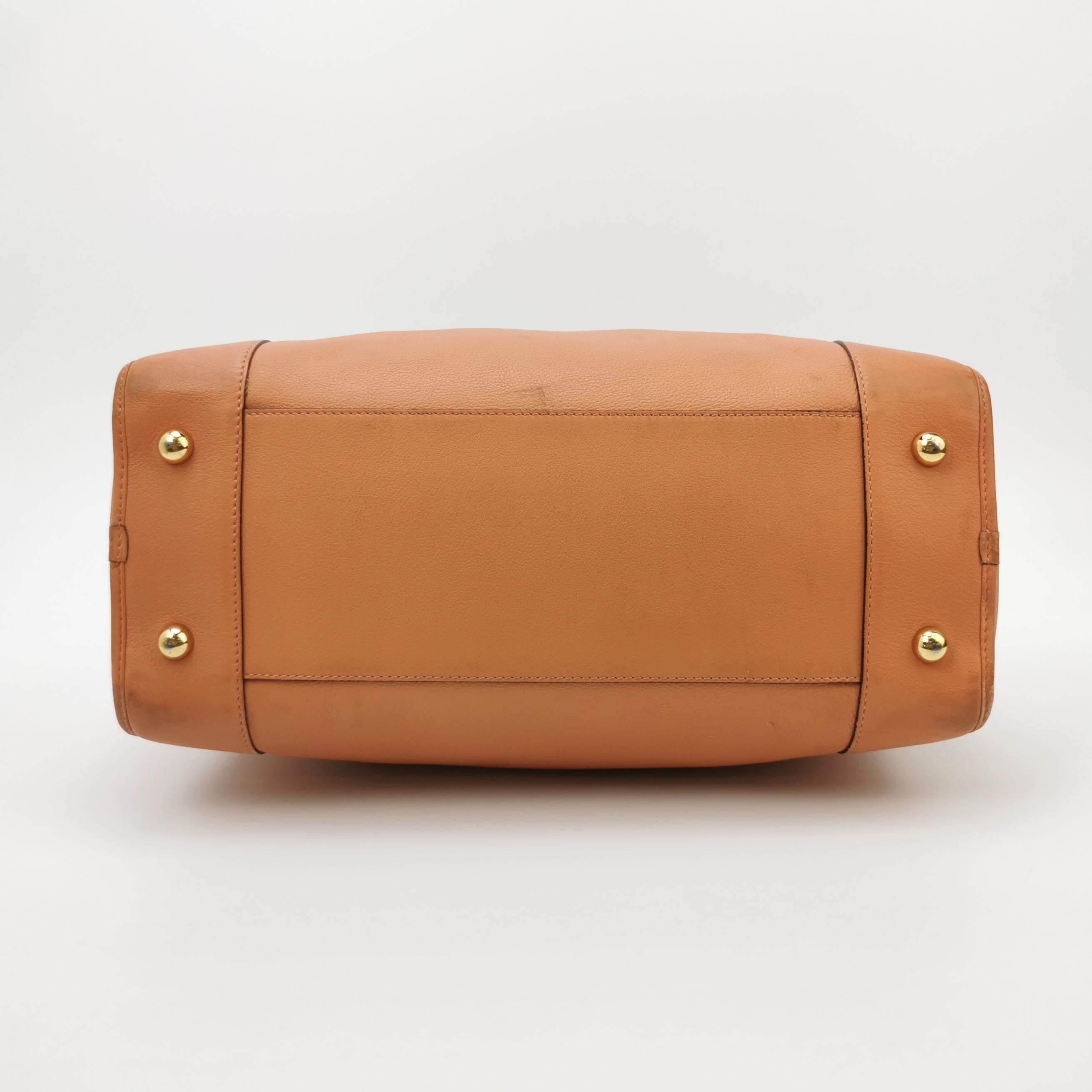 Loewe Amazona Medium 36 Cuir Corail Clair Avec Bandoulière Animal Chèvre Verrouillé en vente 1