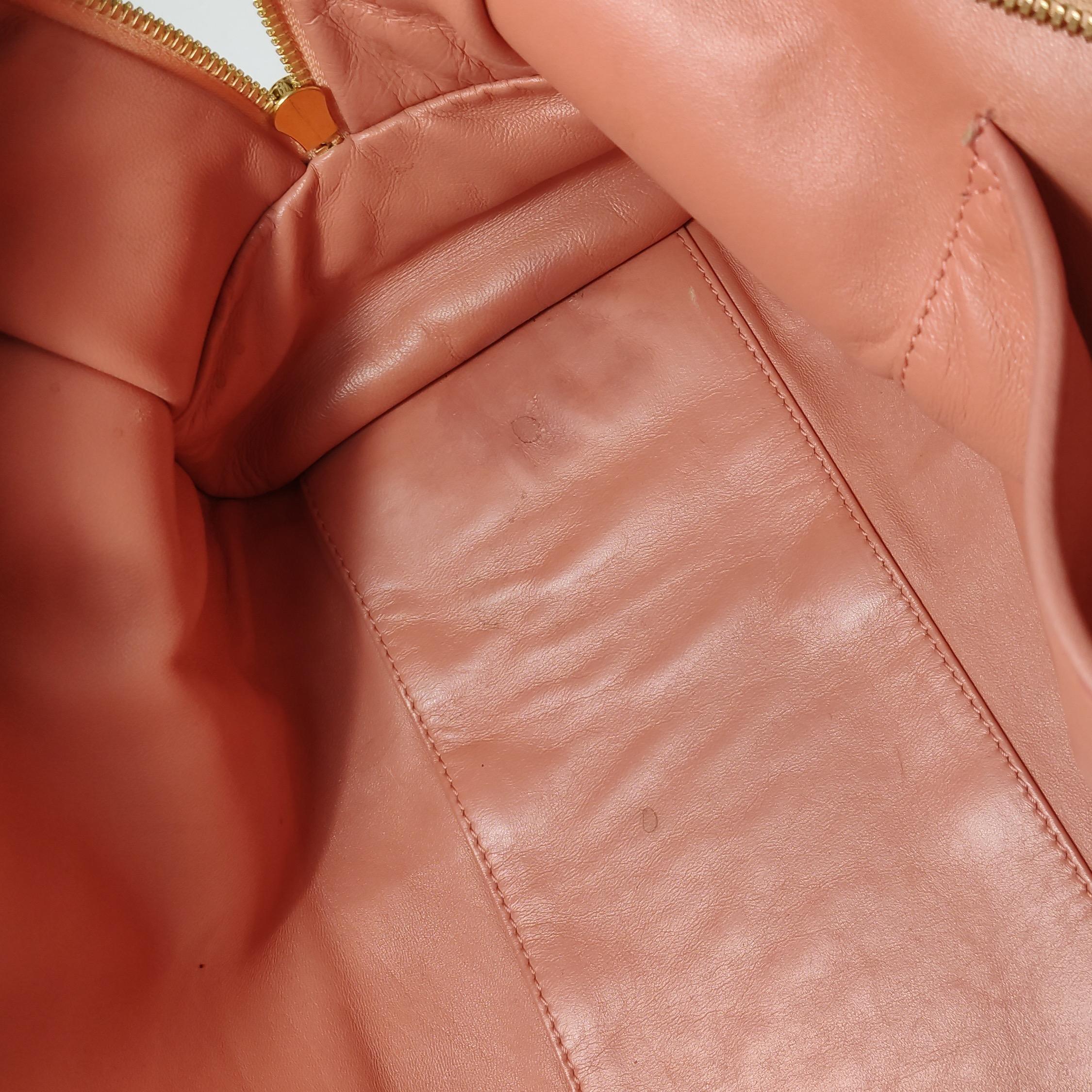 Loewe Amazona Medium 36 Cuir Corail Clair Avec Bandoulière Animal Chèvre Verrouillé en vente 3