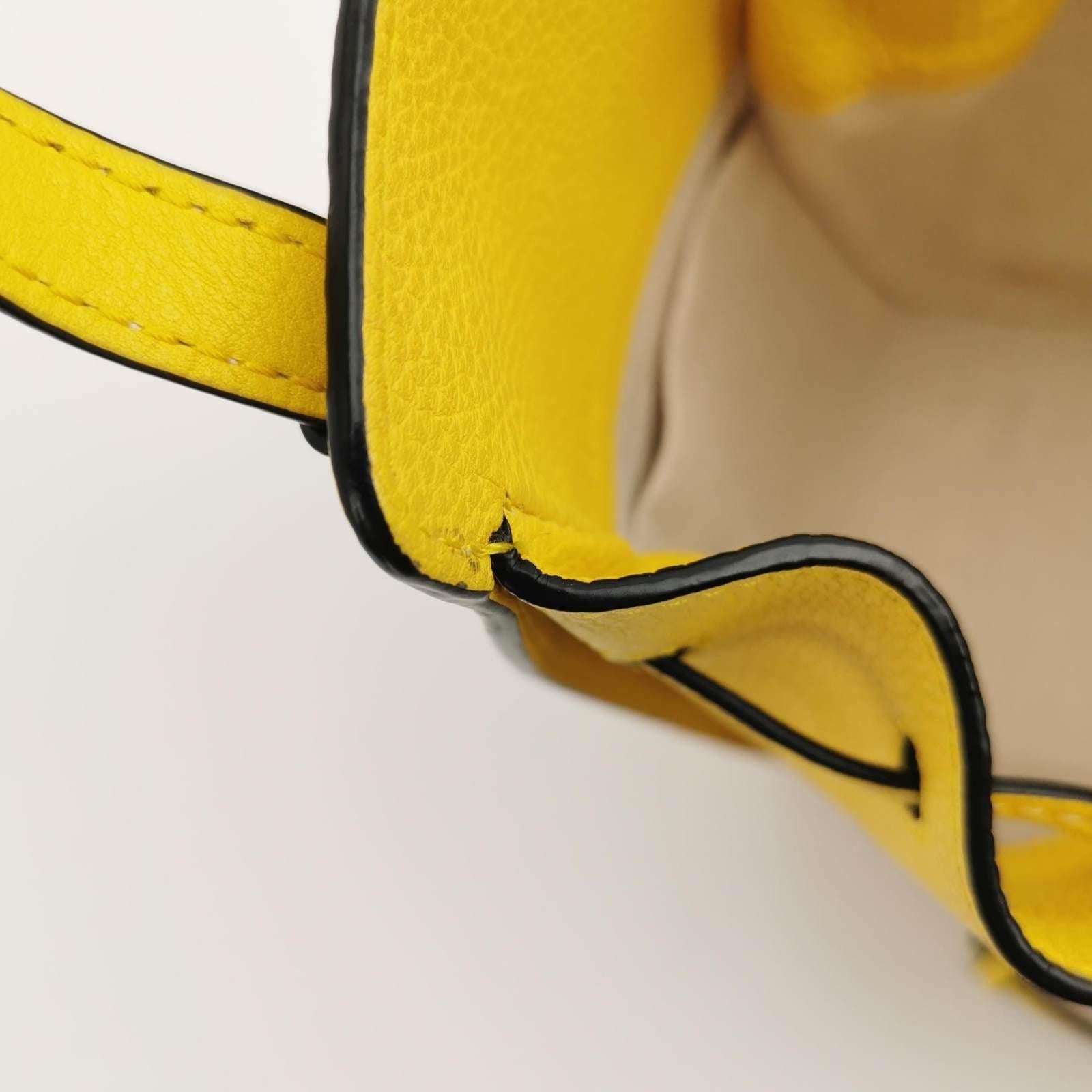 Loewe Hammock Mini Yellow Calfskin Leather Top Handle Crossbody Bag 5