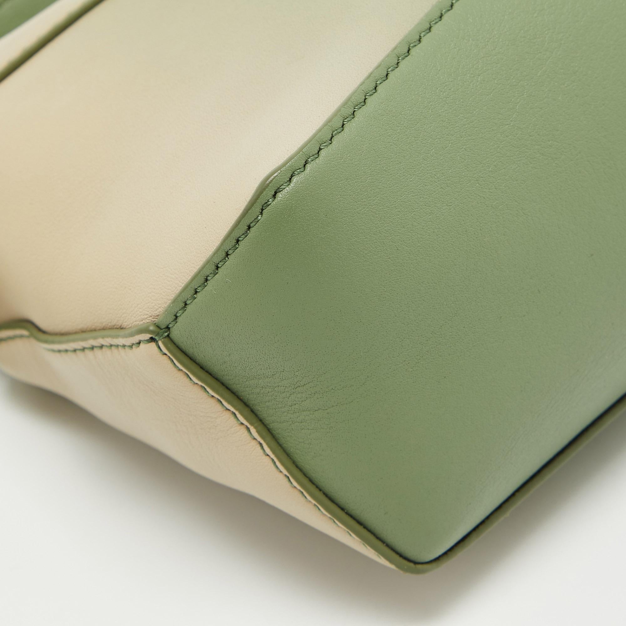 Loewe Pastel Green Leather Mini Degrade Puzzle Shoulder Bag 2