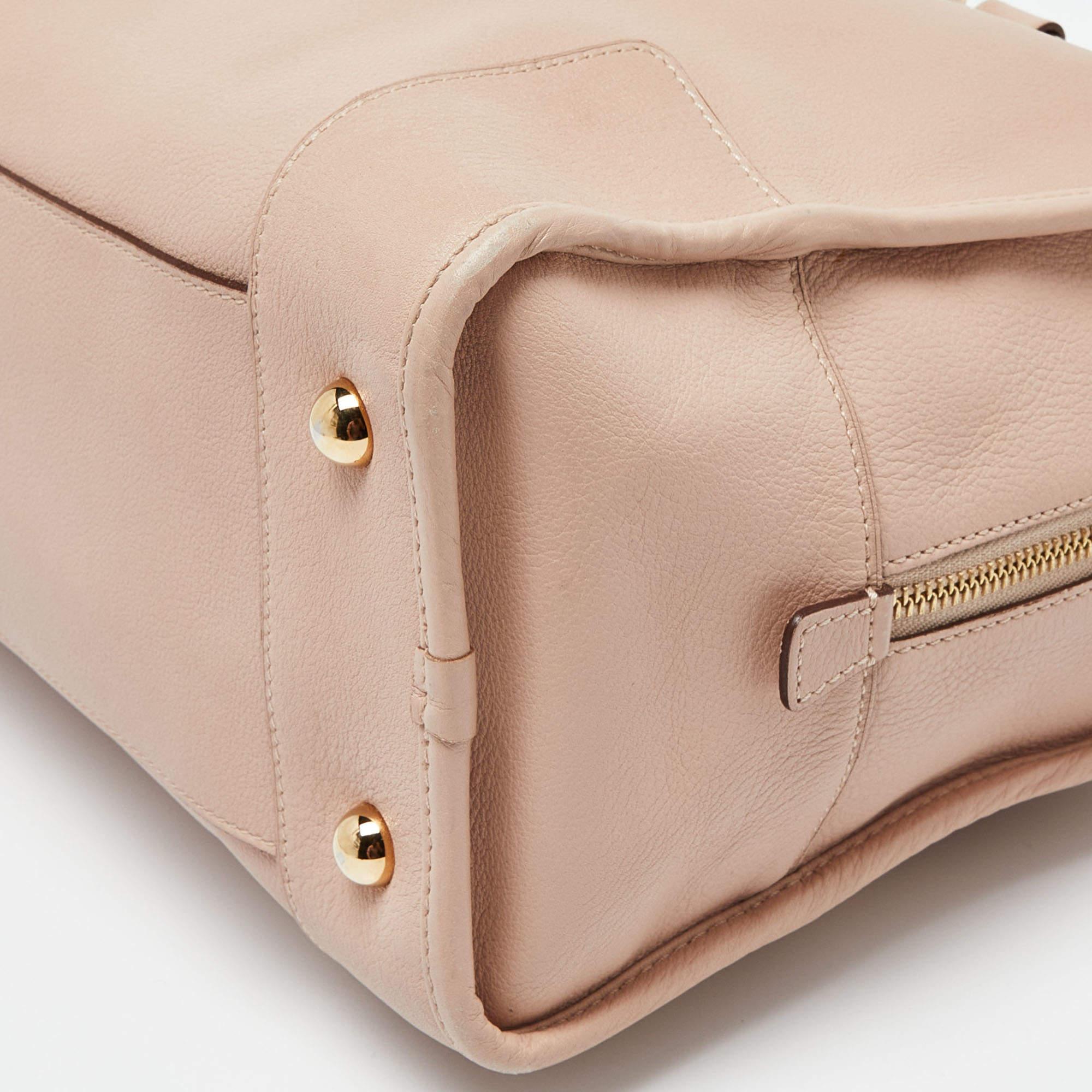 Loewe Pink Leather Amazona 36 Satchel 4