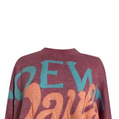 Loewe x Paula's Ibiza Printed Sweater in Pink Linen