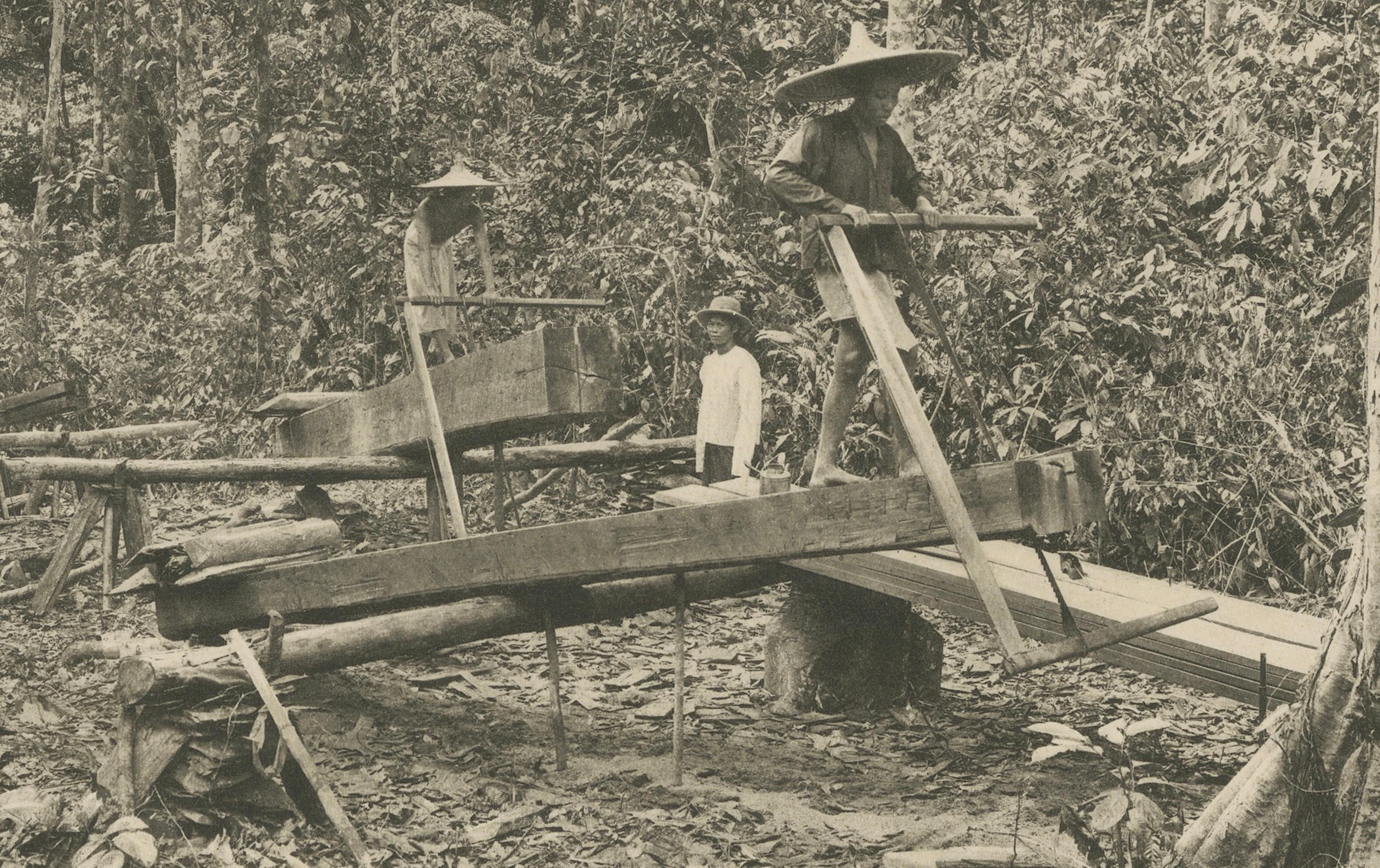 20ième siècle Éléphants bûcherons, Lau Boentoe - Photo ancienne des Indes orientales néerlandaises c.1910 en vente