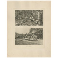 Logging Elephants, Lau Boentoe – Antique Dutch East Indies Photo c.1910