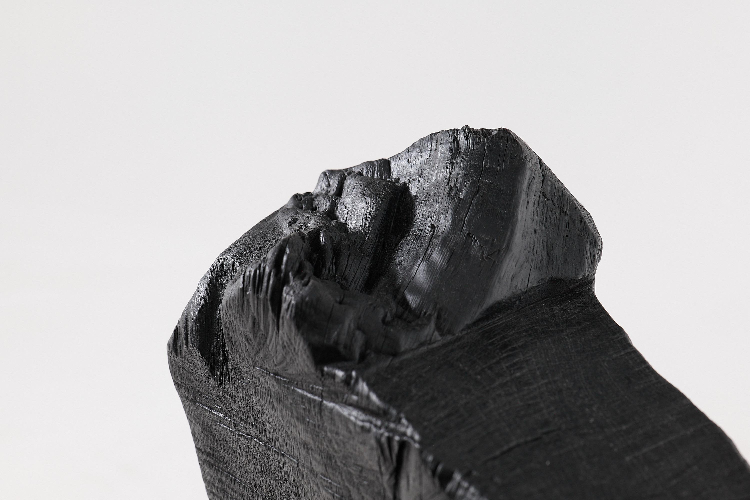 Logniture, Brutalist Sculptural Armchair, Solid Burnt Oak Wood, Organic, 1/1 For Sale 11