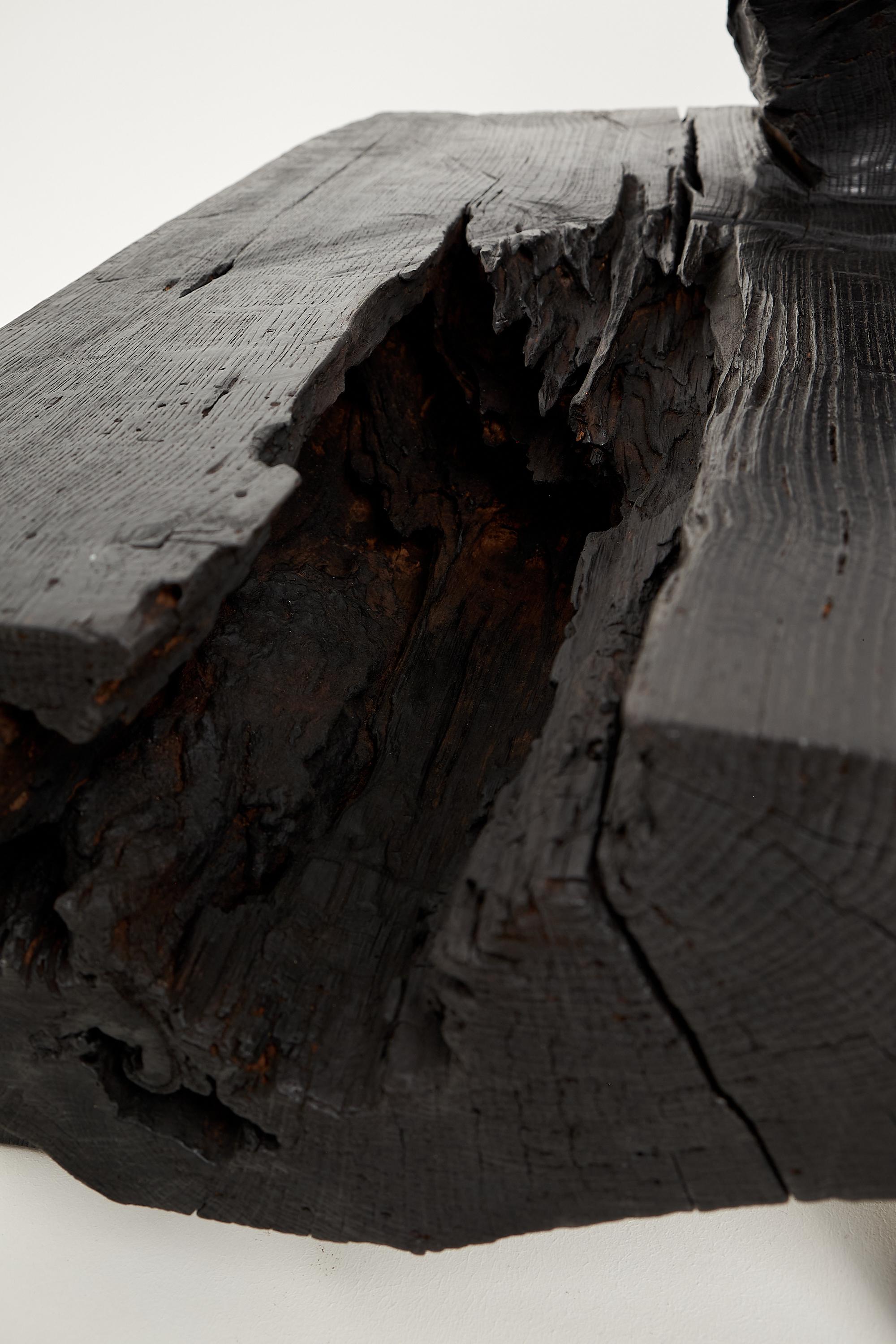 Logniture, Table basse rustique sculpturale, Bois de Oak Oak noir brûlé, Unique en vente 3