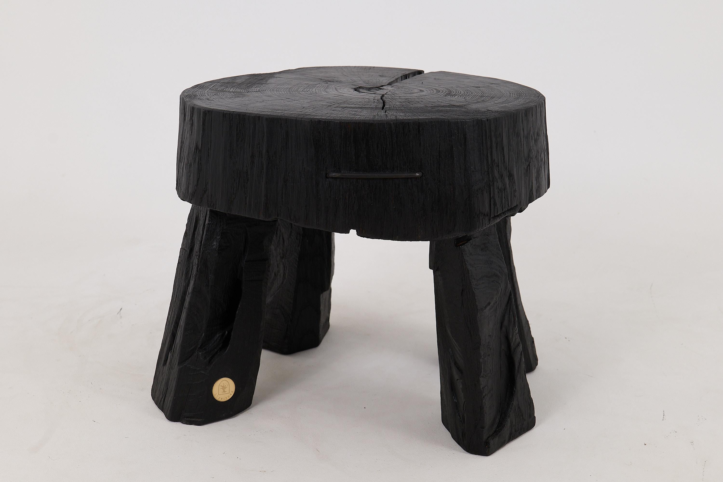 Logniture, Rustic Sculptural Coffee Table, Burnt Black Oak Wood, Unique For Sale 4