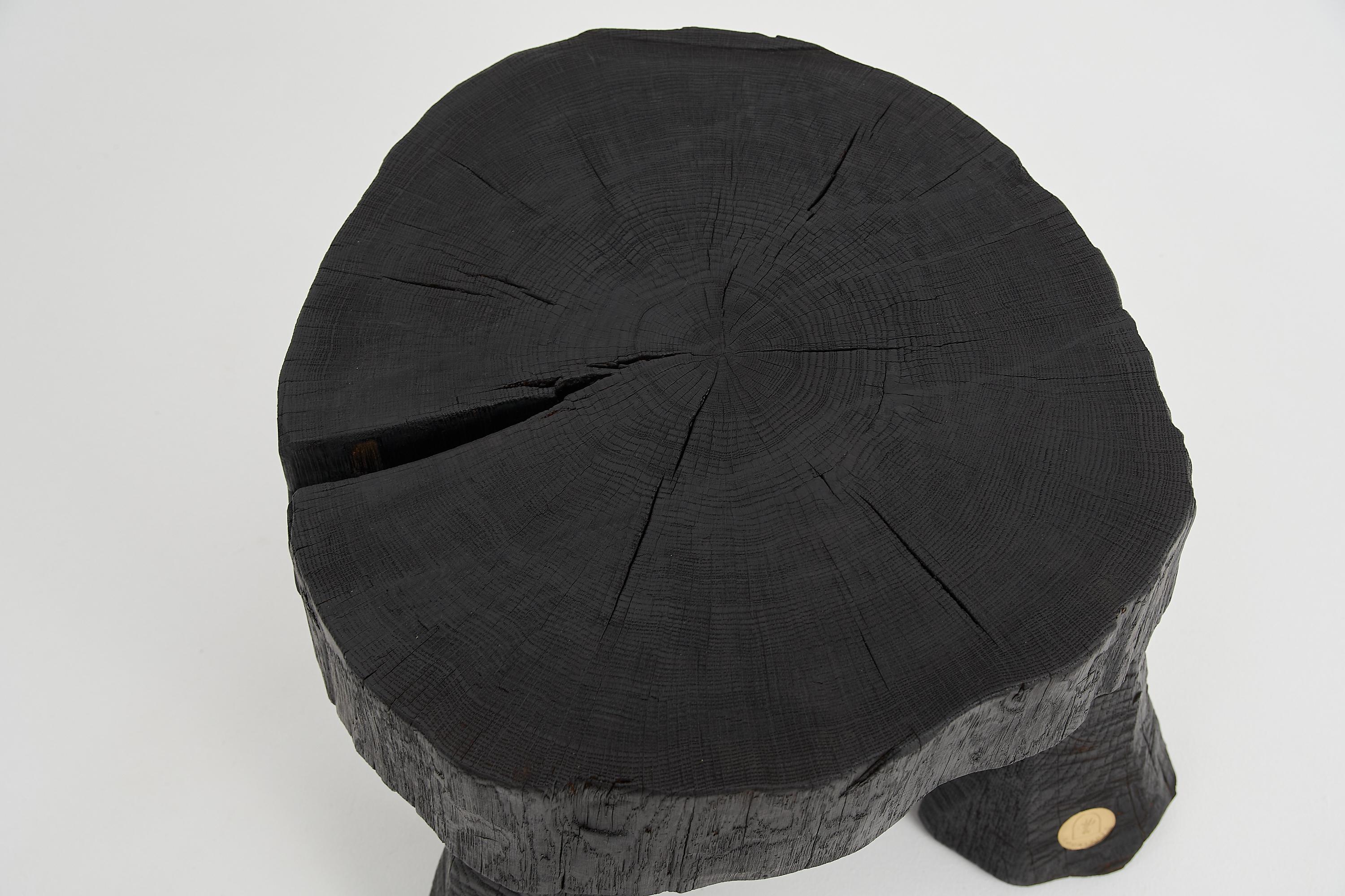 Logniture, Table basse rustique sculpturale, Bois de Oak Oak noir brûlé, Unique en vente 5