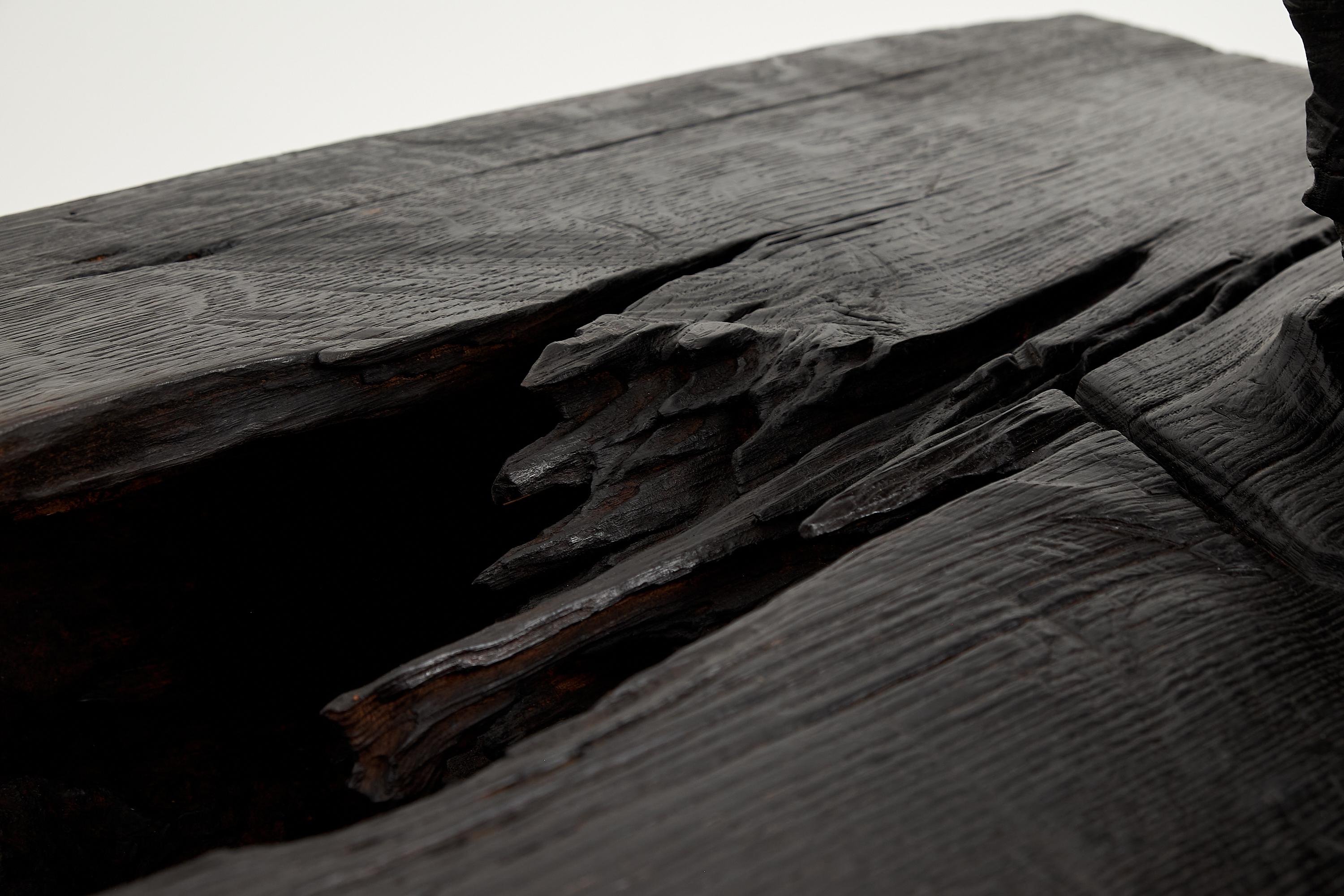 Logniture, Table basse rustique sculpturale, Bois de Oak Oak noir brûlé, Unique en vente 7