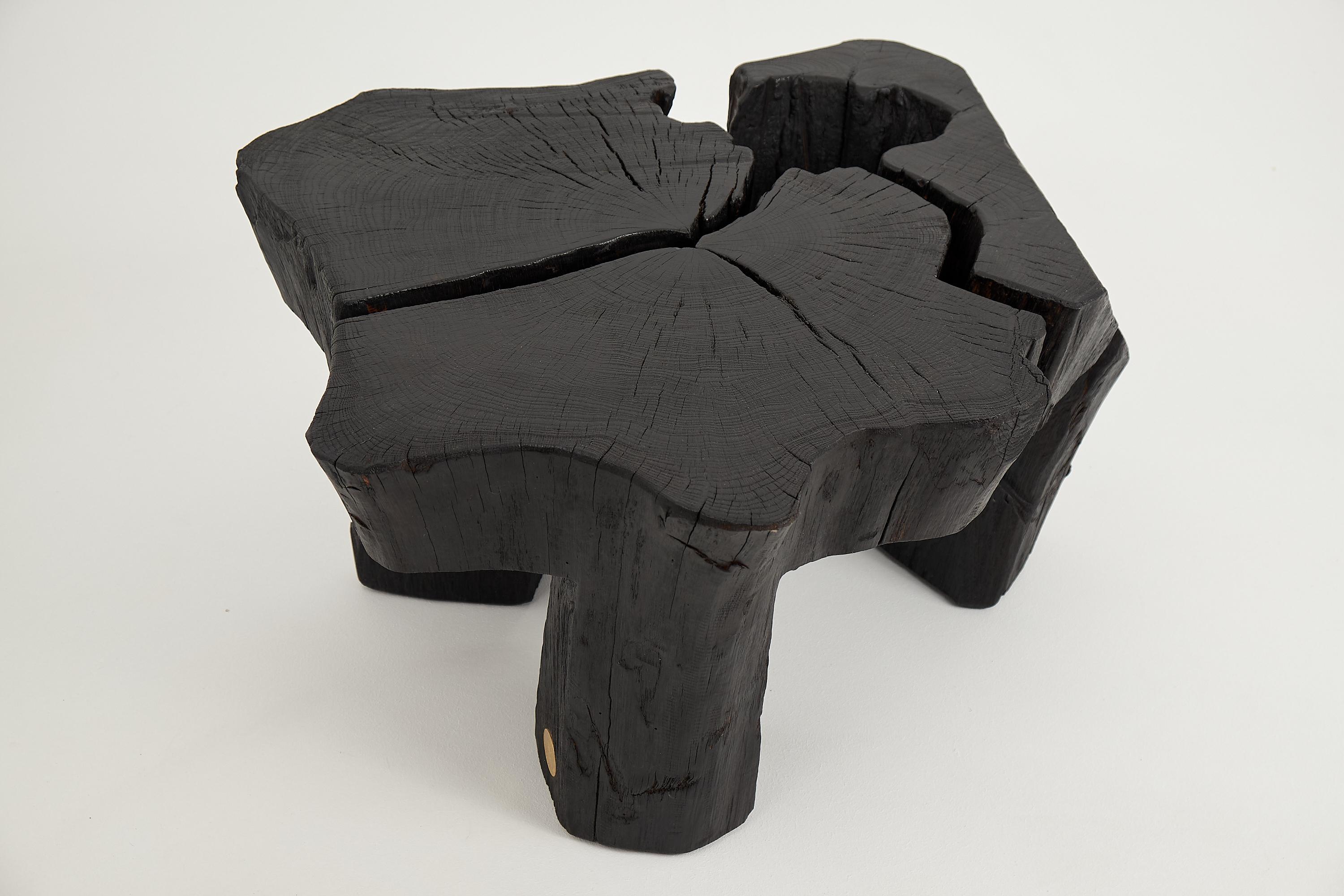 Logniture, Table basse rustique sculpturale, Bois de Oak Oak noir brûlé, Unique en vente 8