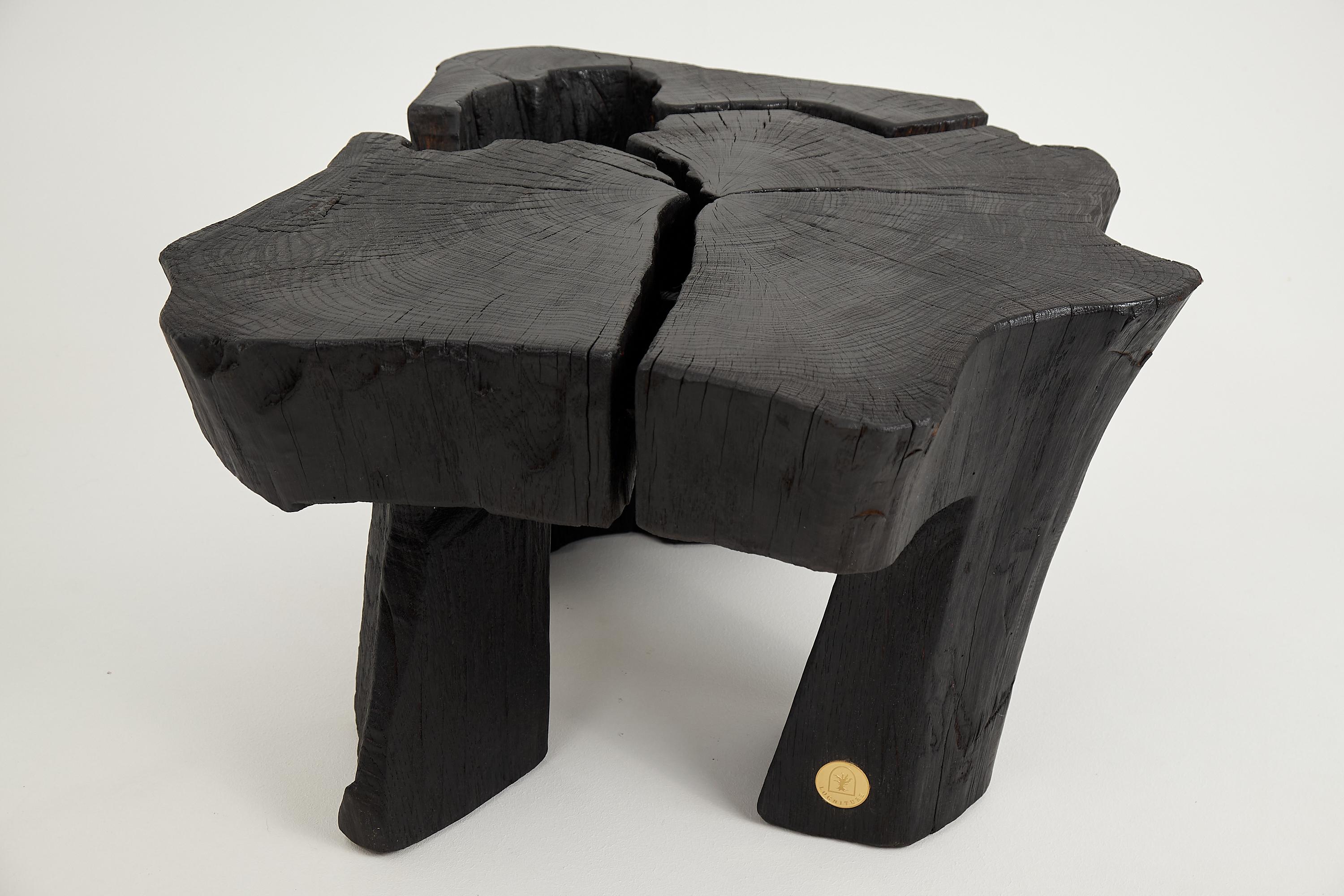 Logniture, Table basse rustique sculpturale, Bois de Oak Oak noir brûlé, Unique en vente 9