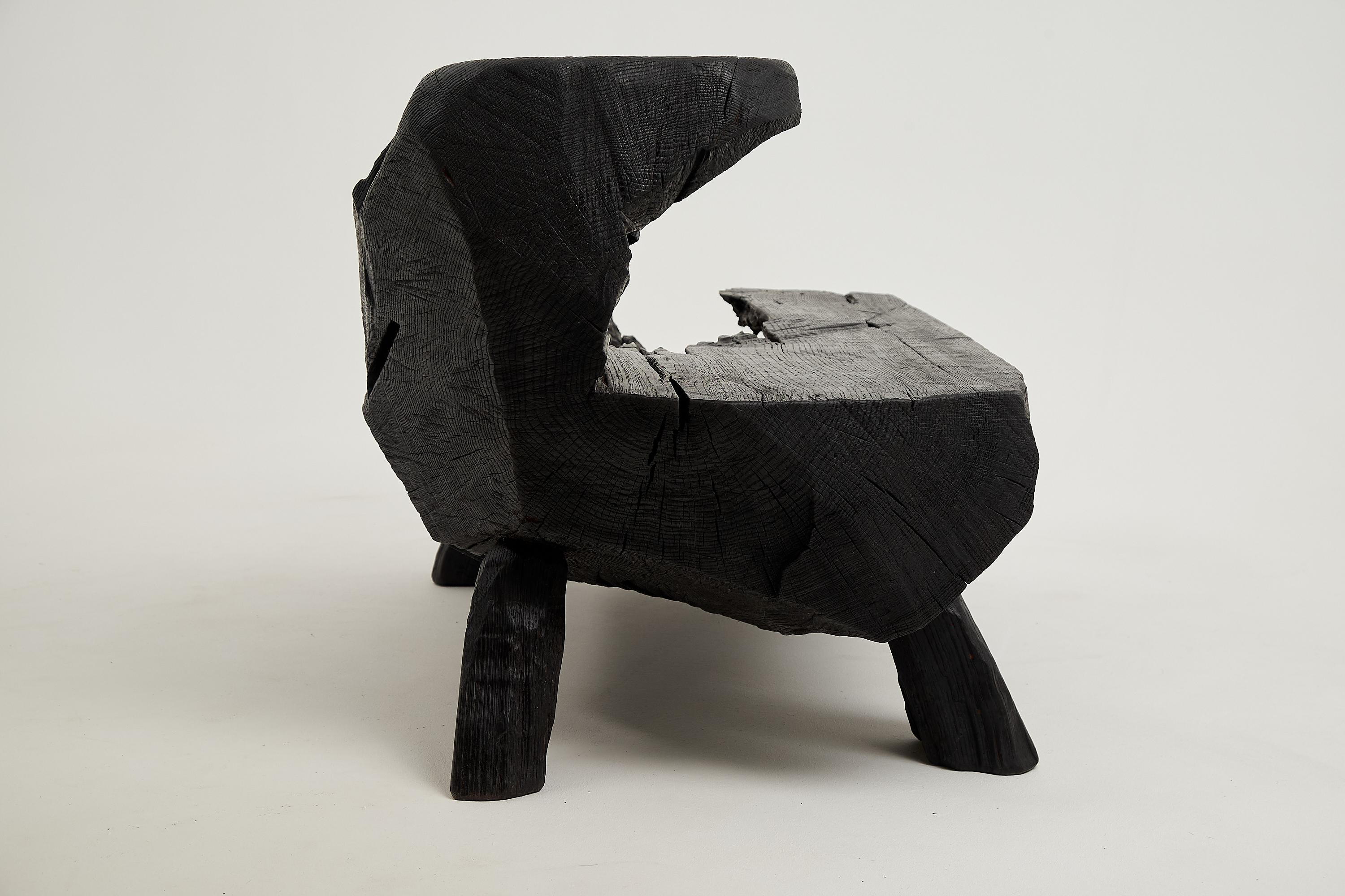 Logniture, Table basse rustique sculpturale, Bois de Oak Oak noir brûlé, Unique en vente 10