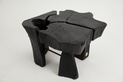 Sculptural Coffee Table, Side Table, Rustic, Burnt Wood, Black, Oak Logniture