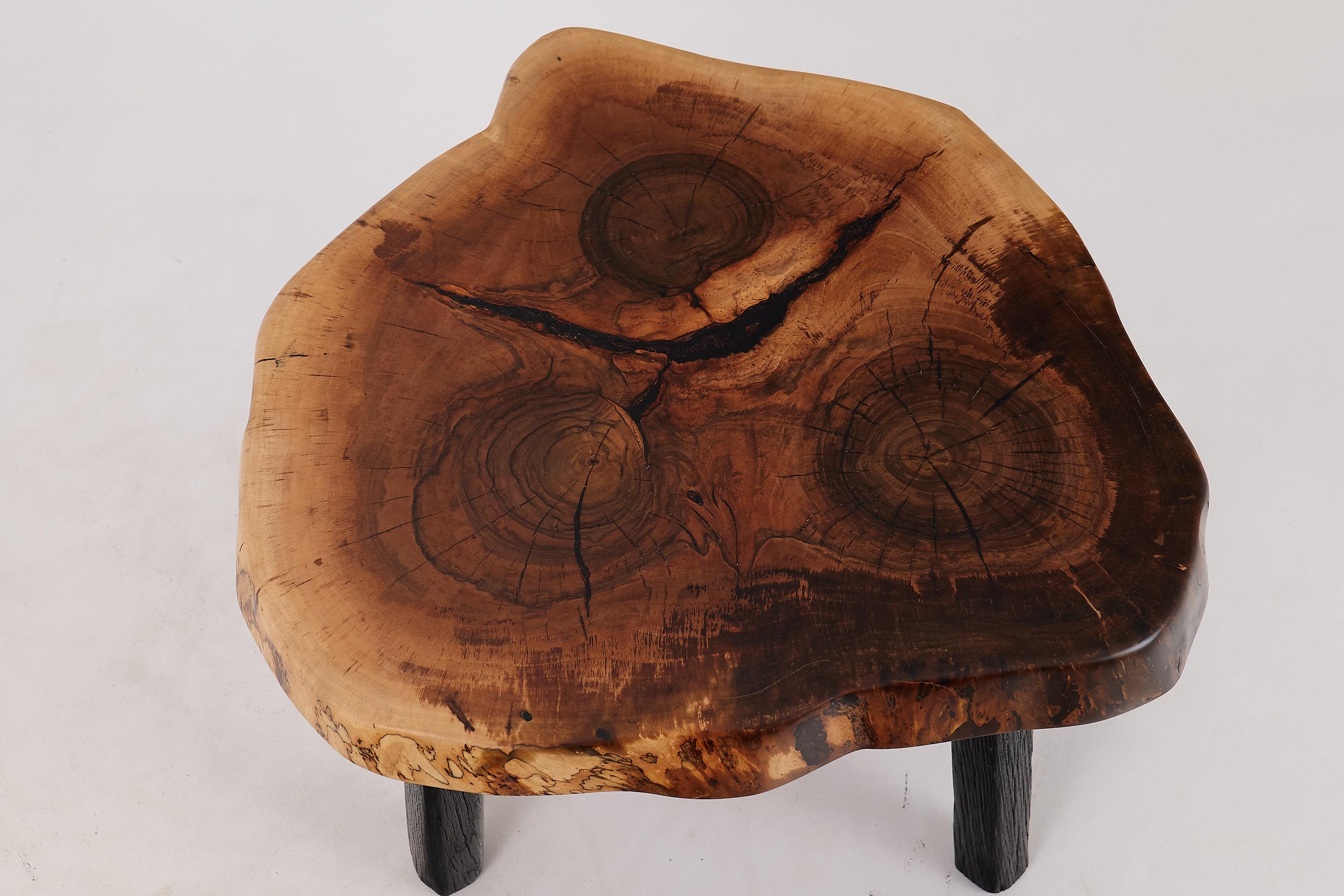 Logniture, Table basse rustique sculpturale, Noyer & Oak Oak noir brûlé, Unique en vente 5