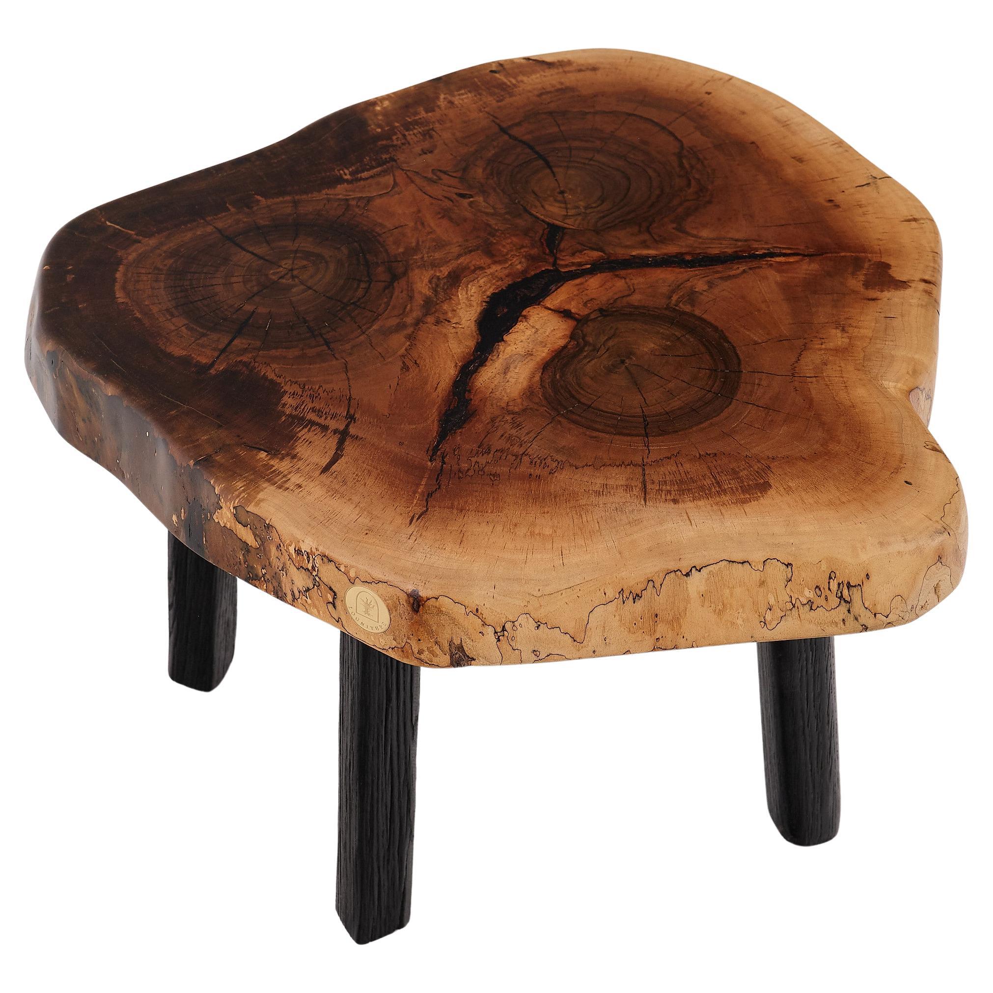 Logniture, Table basse rustique sculpturale, Noyer & Oak Oak noir brûlé, Unique en vente