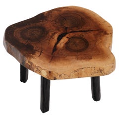 Rustikaler skulpturaler Logniture-Couchtisch, Nussbaum und gebrannte schwarze Eiche, einzigartig