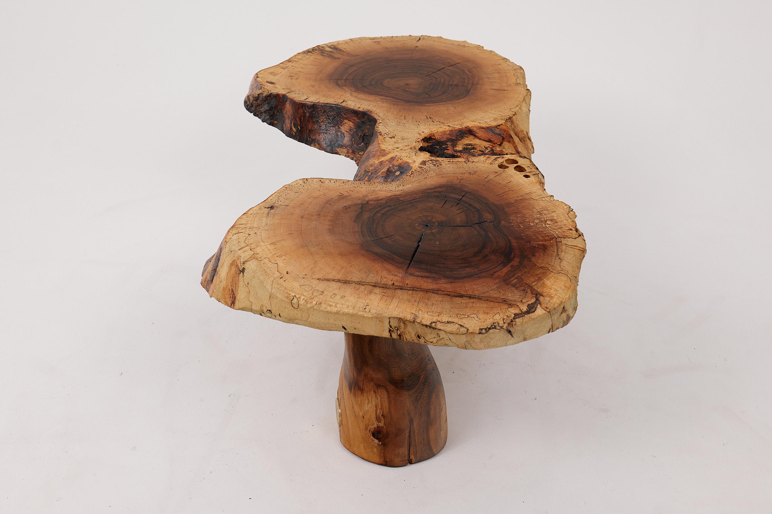 Logniture, Sculptural Carved  Side Table From Walnut Wood, Log Furniture, Unique For Sale 5
