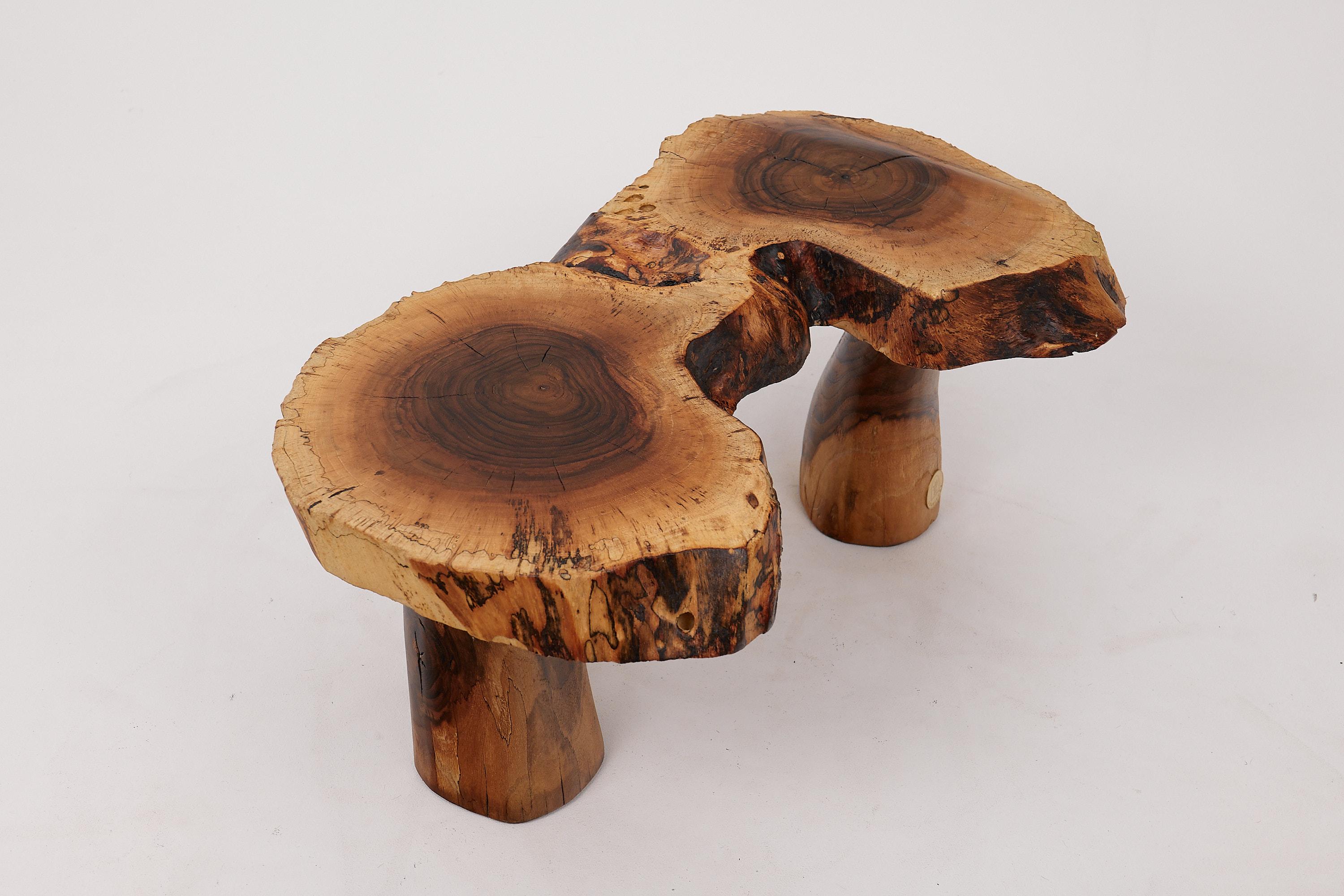 Logniture, Sculptural Carved  Side Table From Walnut Wood, Log Furniture, Unique For Sale 9