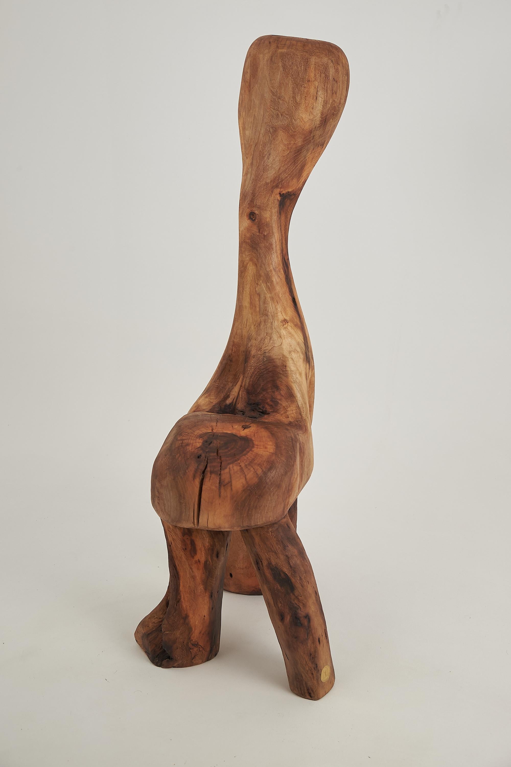 Einzigartige, mit der Kettensäge geschnitzte, funktionelle Holzskulptur, die als Stuhl verwendet werden kann. Aus Nussbaumholz gefertigt und mit hochwertigsten Ölen geschützt, garantiert es eine Haltbarkeit über Generationen. Natürlich,