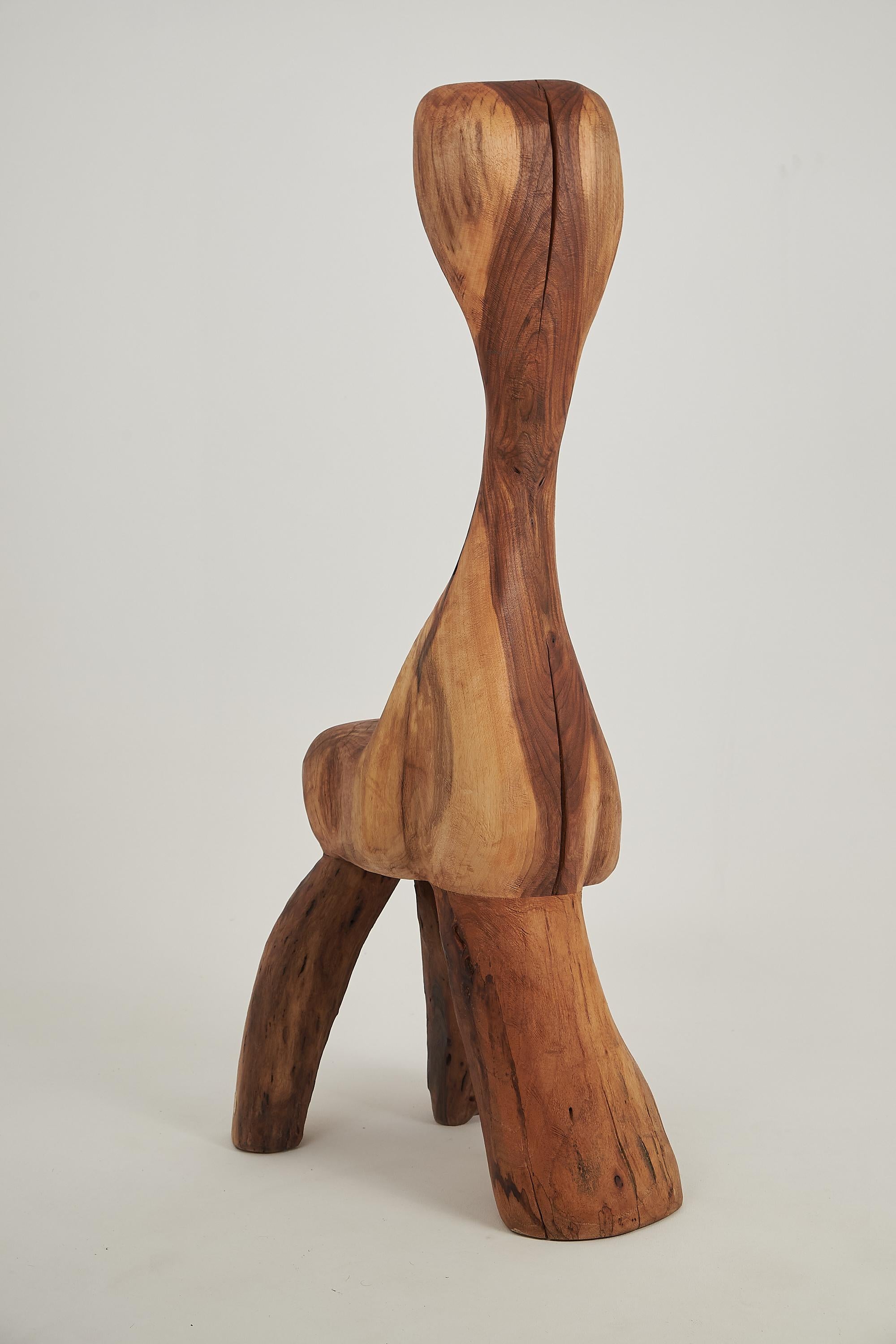 Logniture, Skulpturaler geschnitzter Stuhl aus Nussbaumholz, Log Furniture, einzigartig (21. Jahrhundert und zeitgenössisch) im Angebot