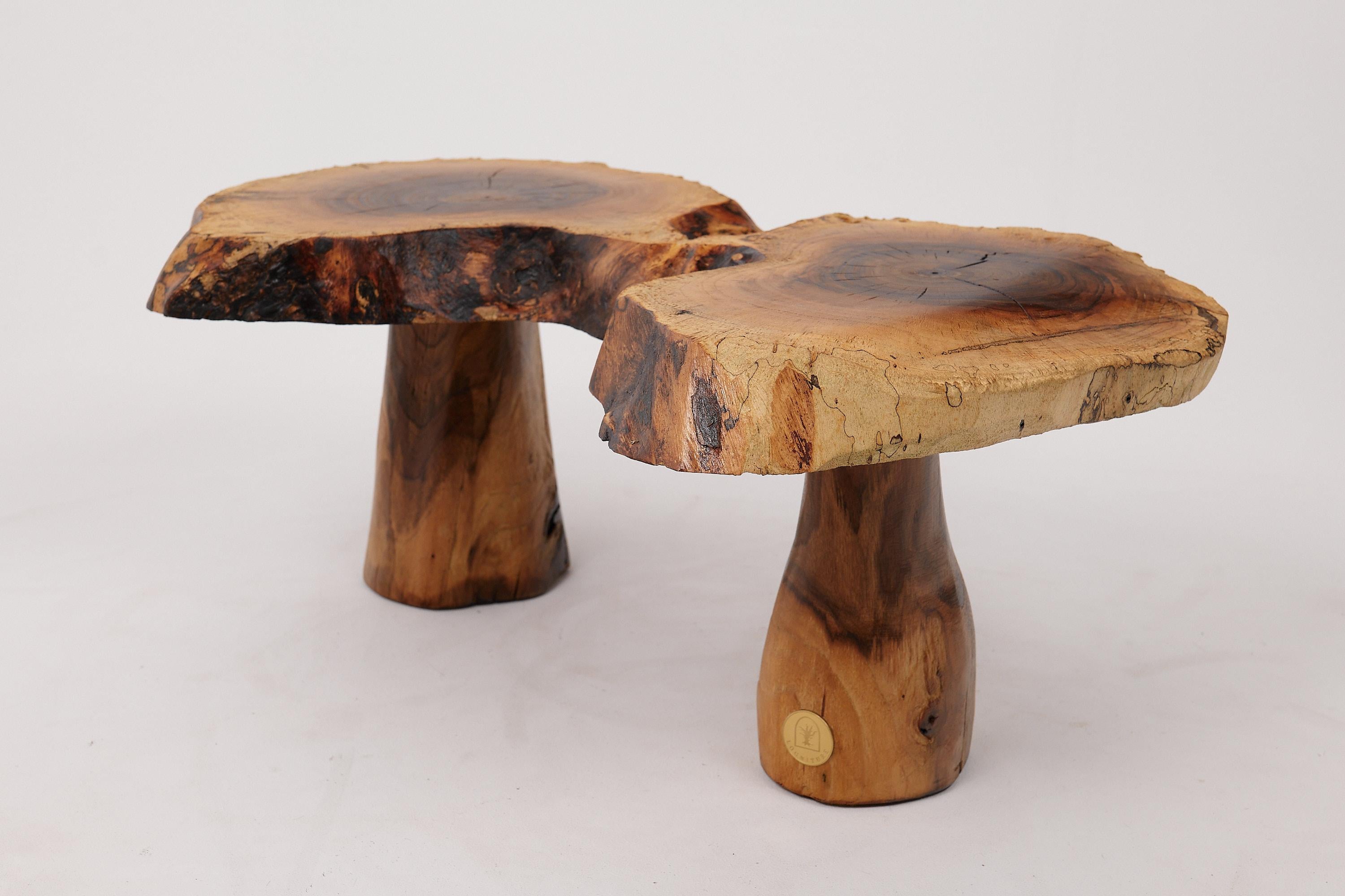 Logniture, Sculptural Carved  Side Table From Walnut Wood, Log Furniture, Unique For Sale 2