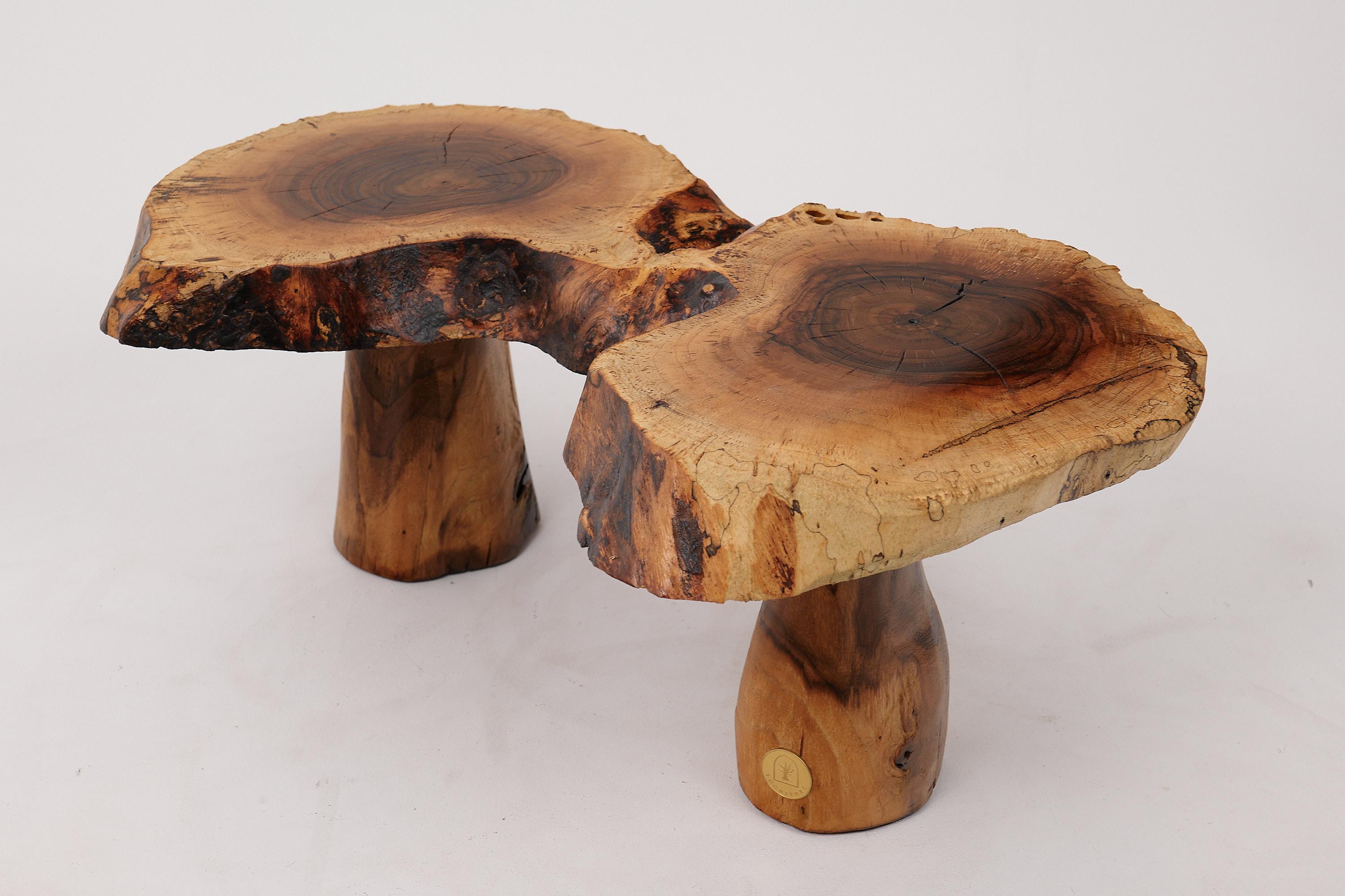 Logniture, Sculptural Carved  Side Table From Walnut Wood, Log Furniture, Unique For Sale 3