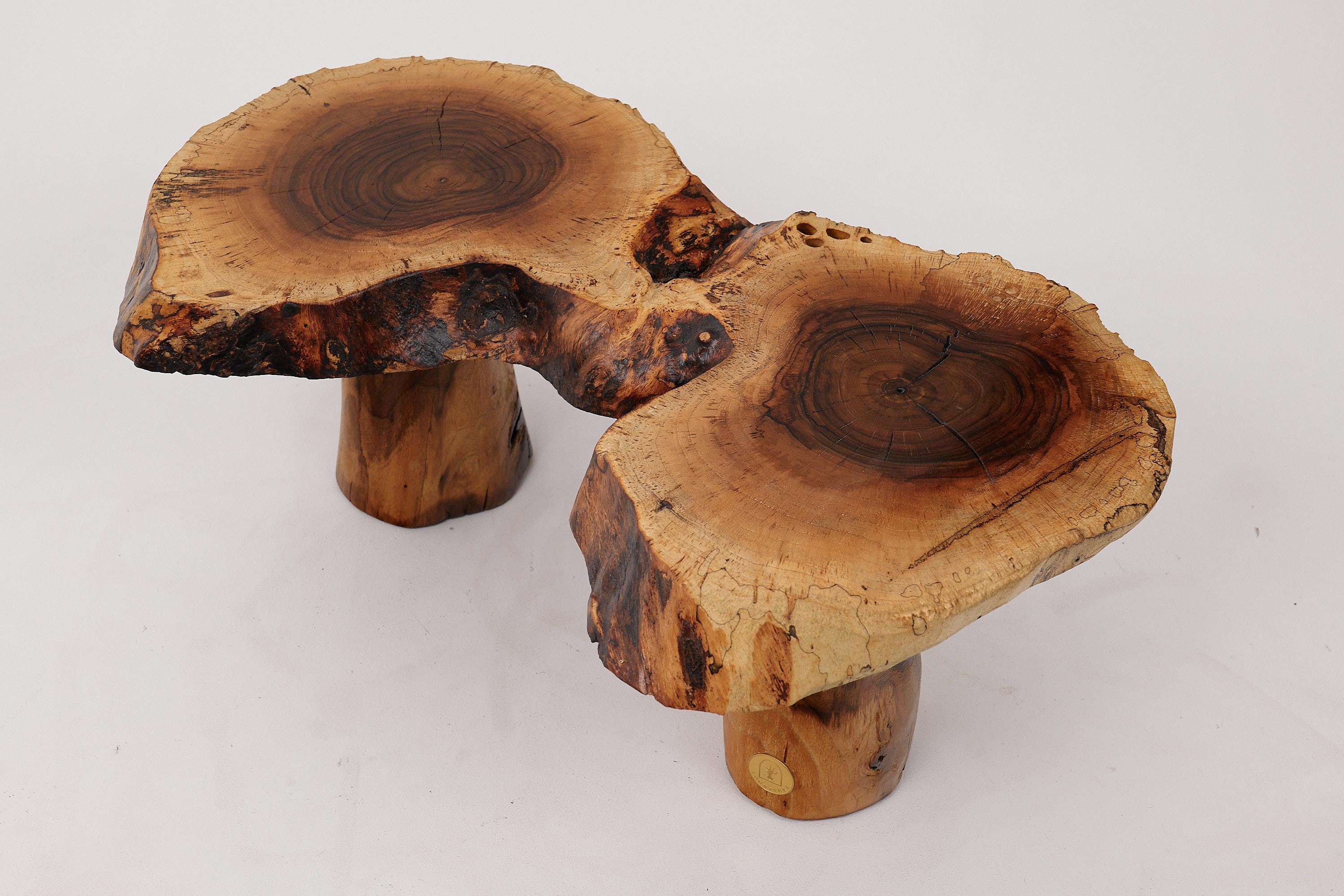 Logniture, Sculptural Carved  Side Table From Walnut Wood, Log Furniture, Unique For Sale 4
