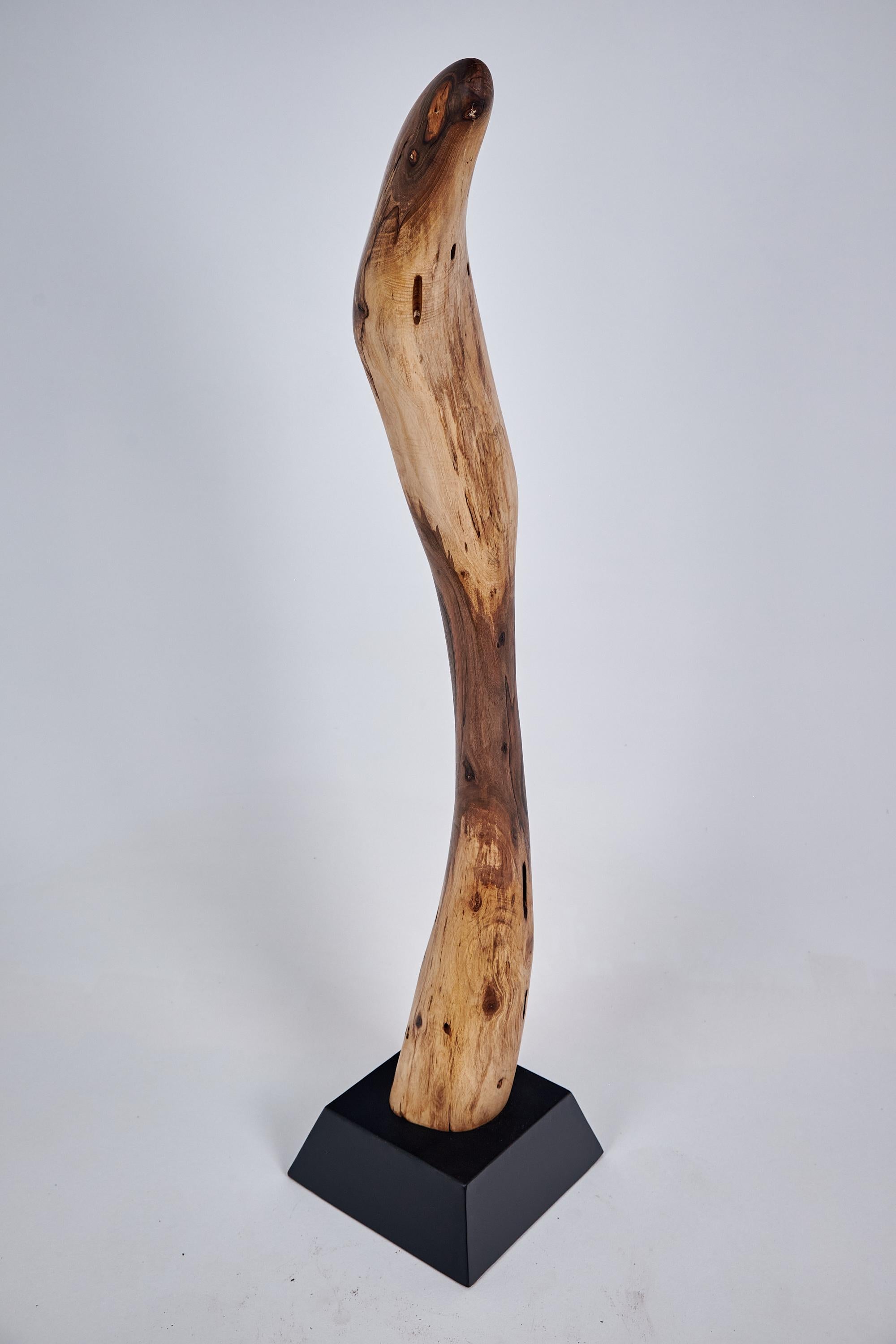 Logniture, Still Stand Abstract Wood Sculpture, Chainsaw Carved, Walnut For Sale 5