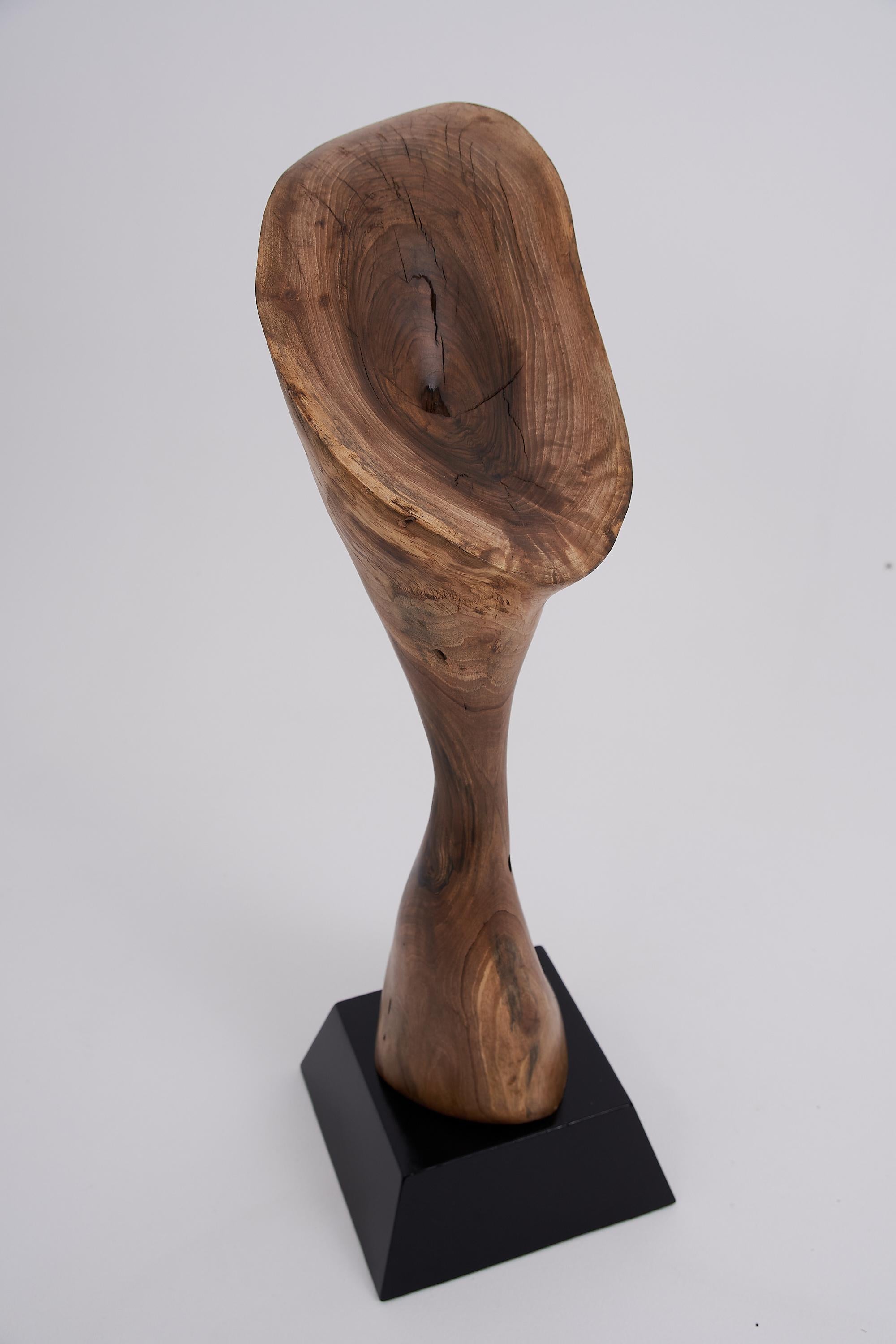 Logniture, Still Stand Abstract Wood Sculpture, Chainsaw Carved, Walnut For Sale 4