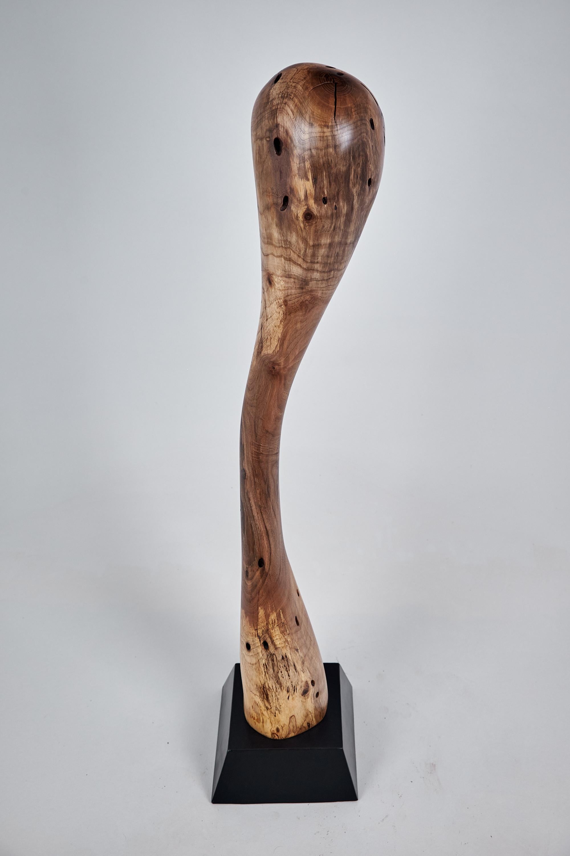 Logniture, scultura astratta in legno, intagliata con la motosega, noce in vendita 3