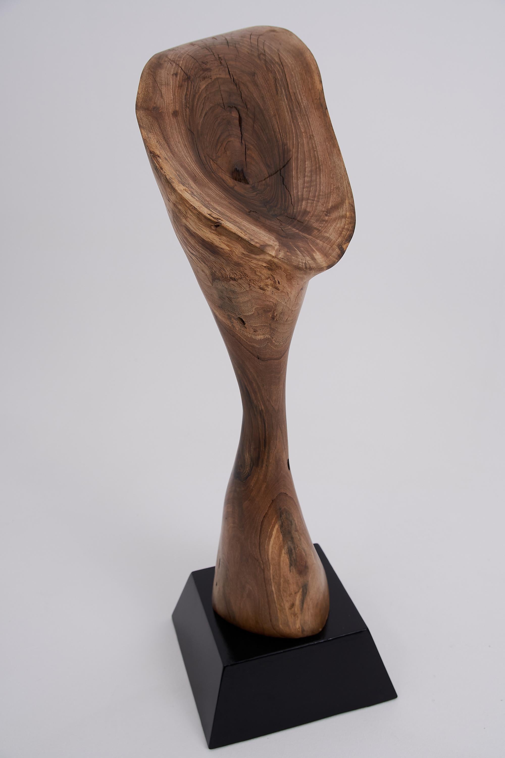 Logniture, Still Stand Abstract Wood Sculpture, Chainsaw Carved, Walnut For Sale 5