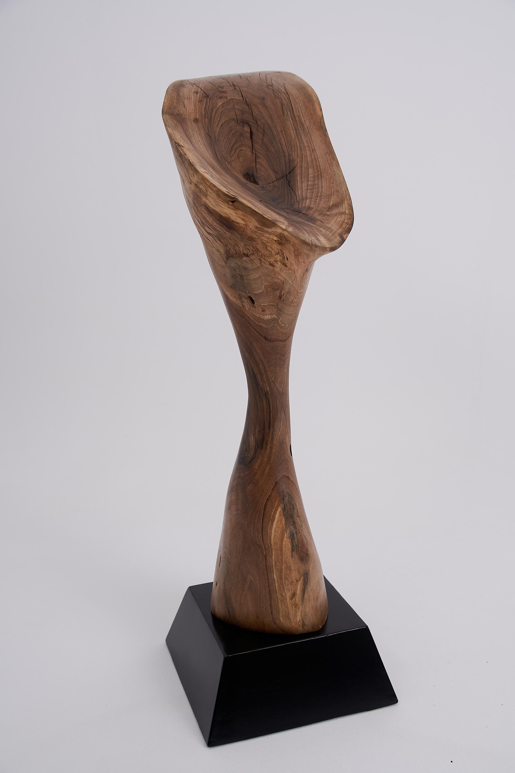 Logniture, Still Stand Abstract Wood Sculpture, Chainsaw Carved, Walnut For Sale 6