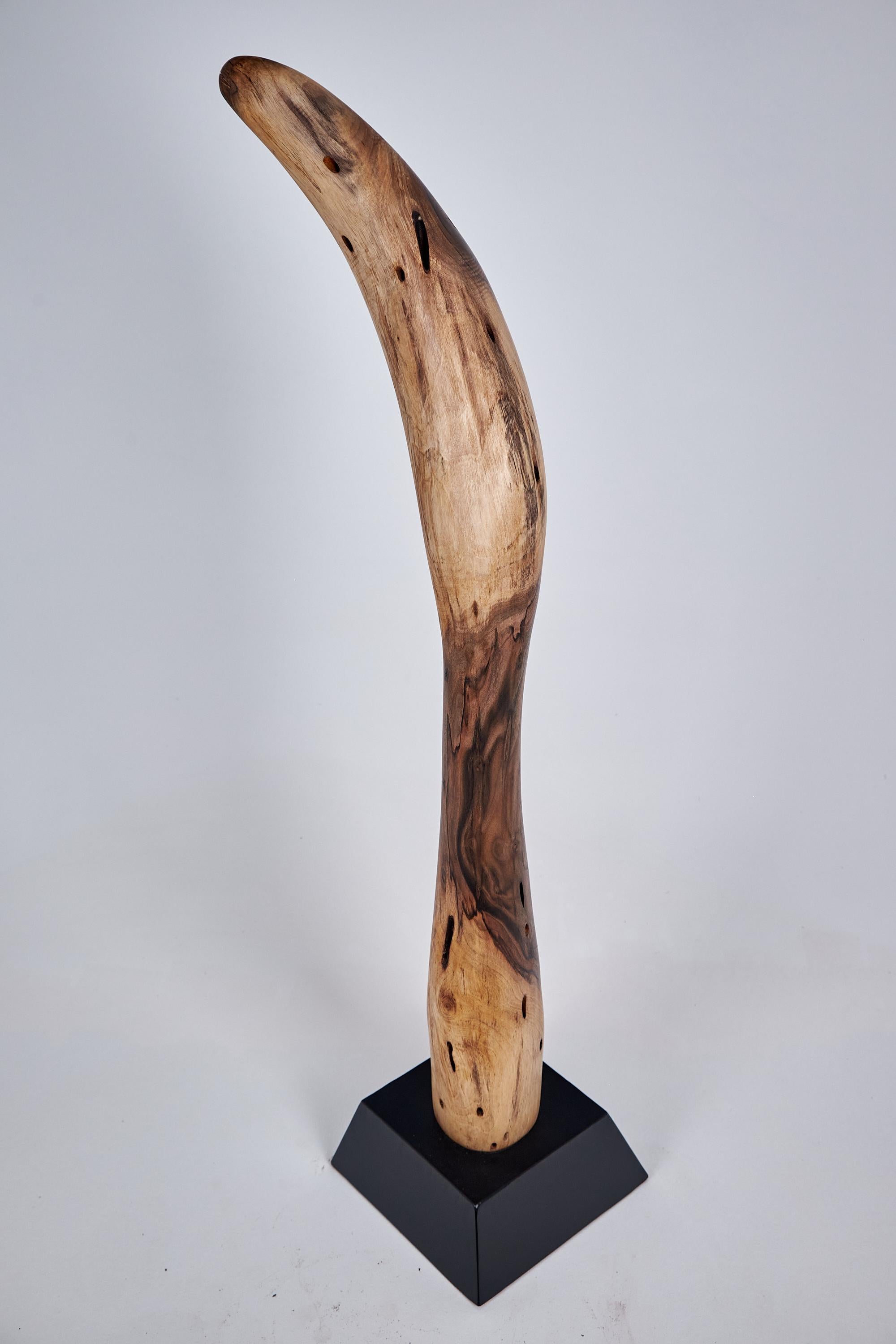Logniture, Still Stand Abstract Wood Sculpture, Chainsaw Carved, Walnut For Sale 8