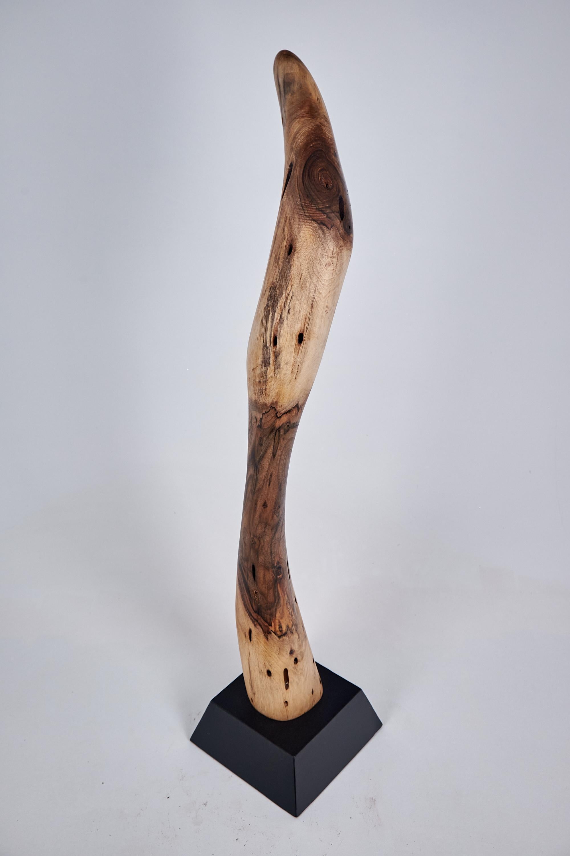 Logniture, Still Stand Abstract Wood Sculpture, Chainsaw Carved, Walnut For Sale 11