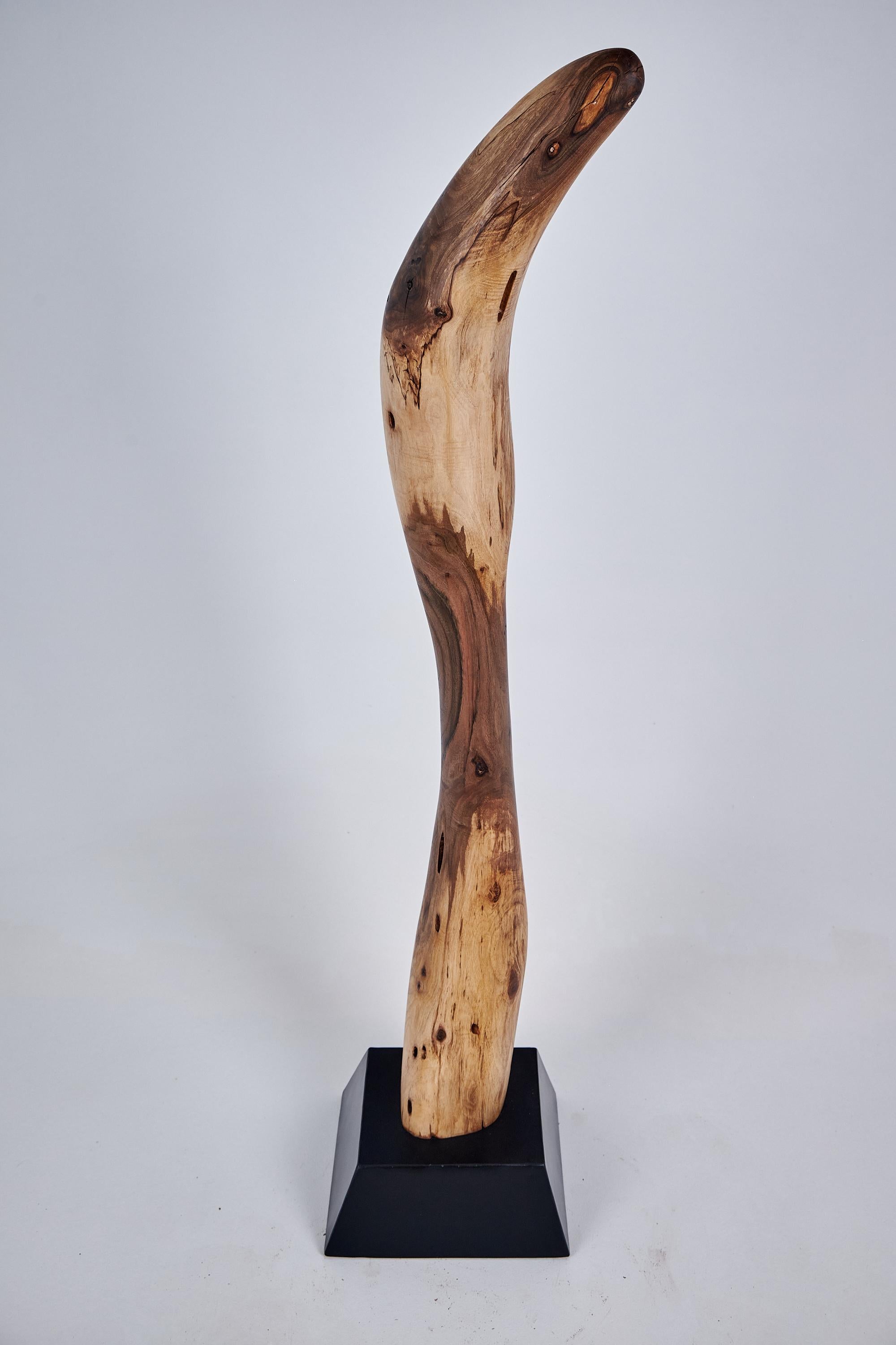 Logniture, Still Stand Abstract Wood Sculpture, Chainsaw Carved, Walnut For Sale 1