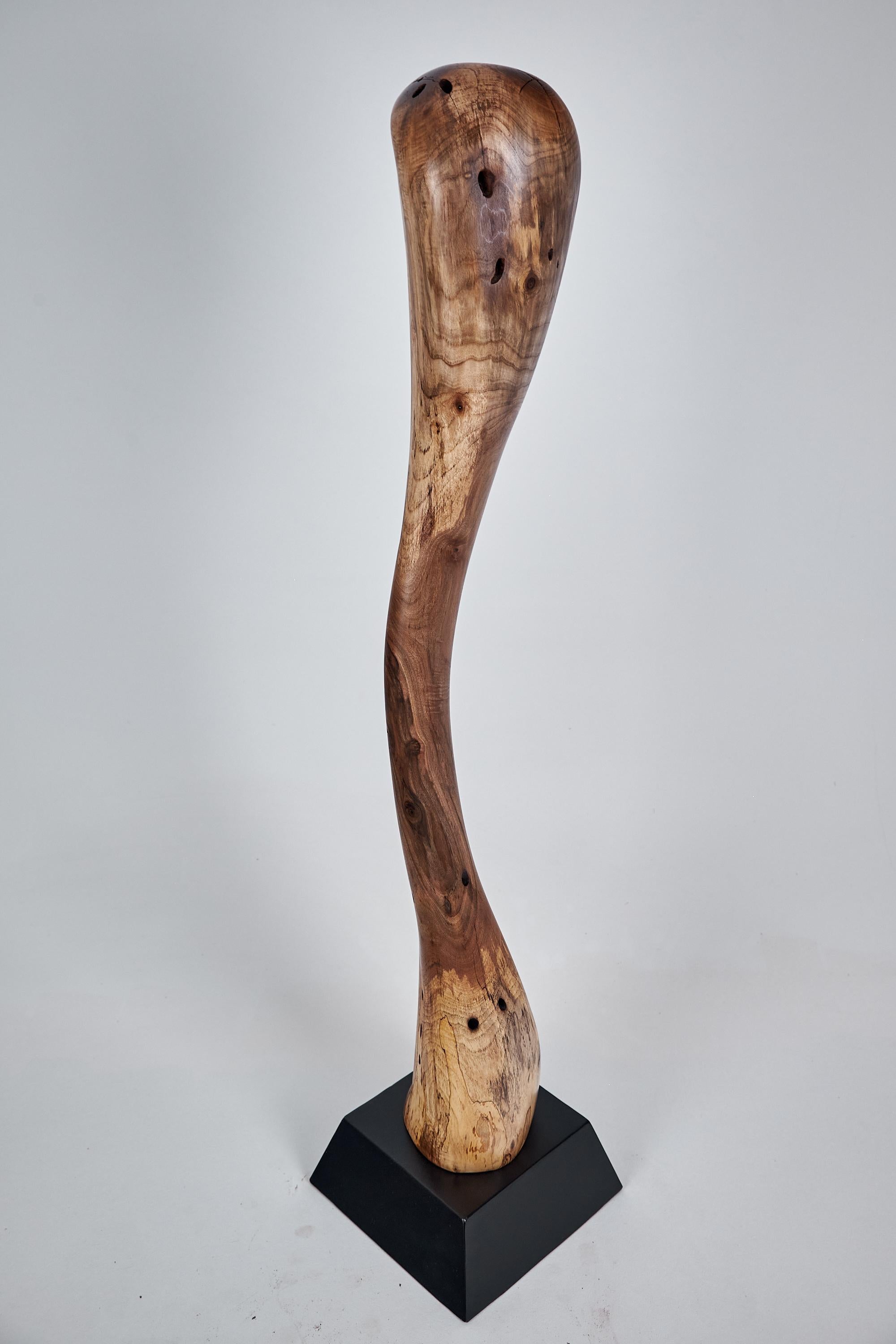 XXI secolo e contemporaneo Logniture, scultura astratta in legno, intagliata con la motosega, noce in vendita