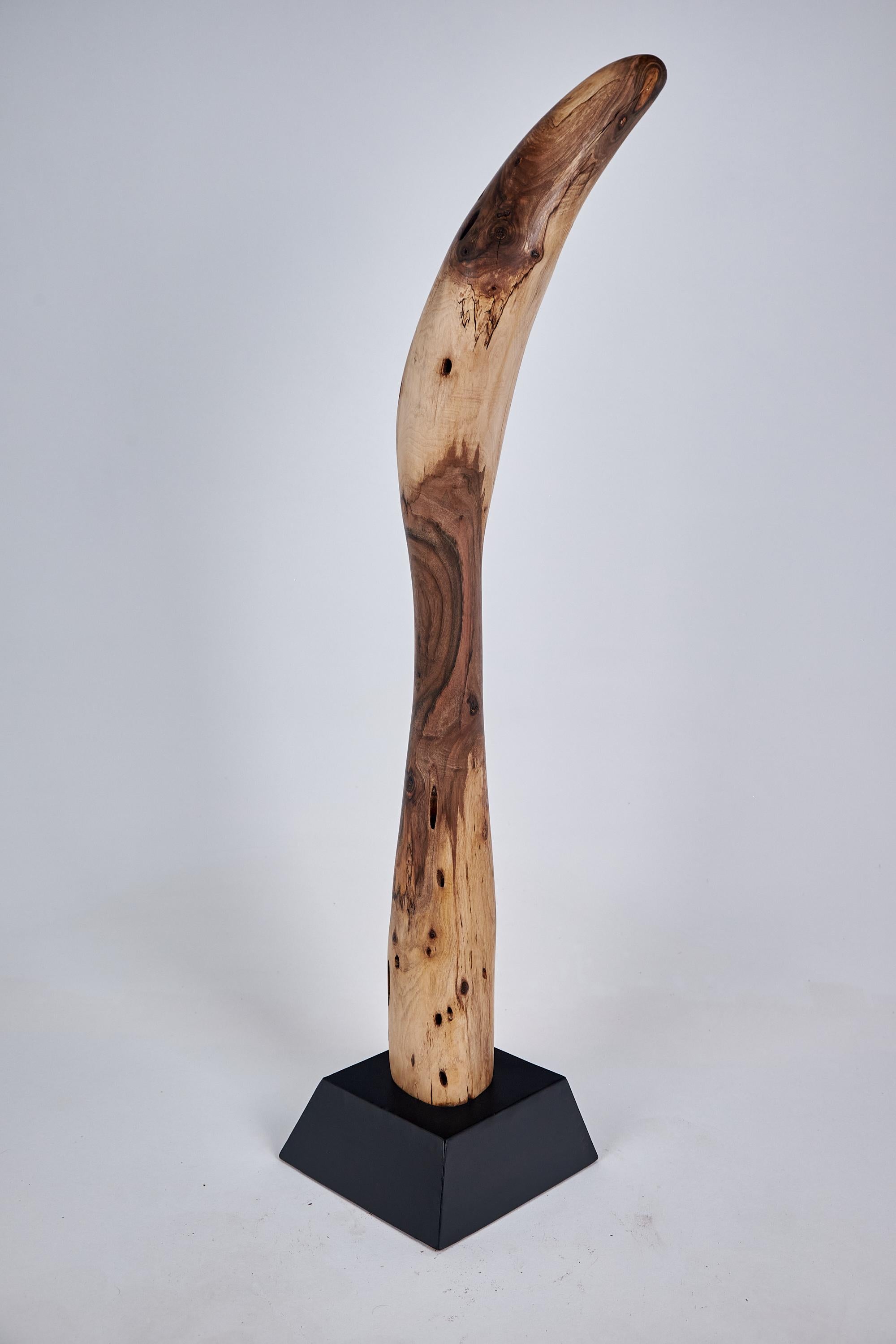 Logniture, Still Stand Abstract Wood Sculpture, Chainsaw Carved, Walnut For Sale 3