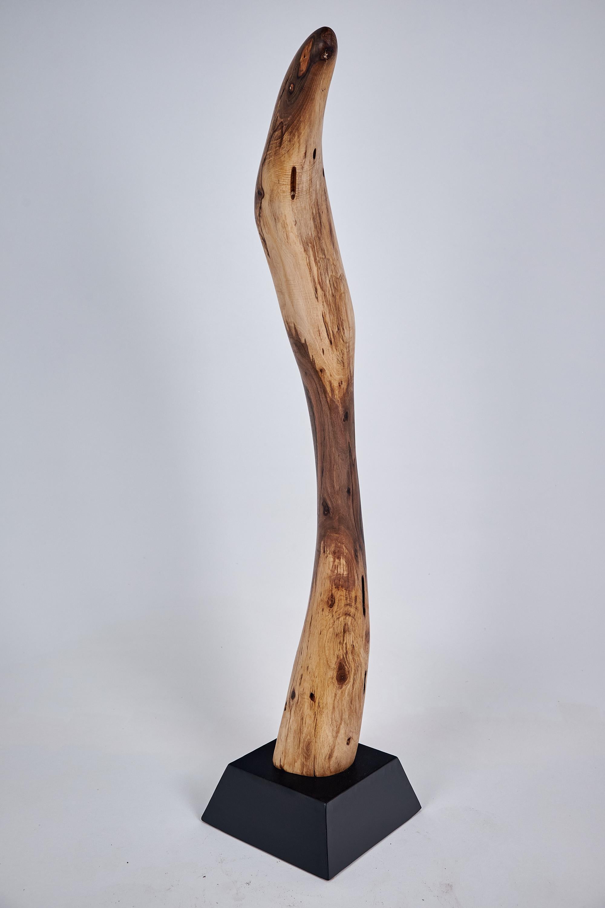 Logniture, Still Stand Abstract Wood Sculpture, Chainsaw Carved, Walnut For Sale 4