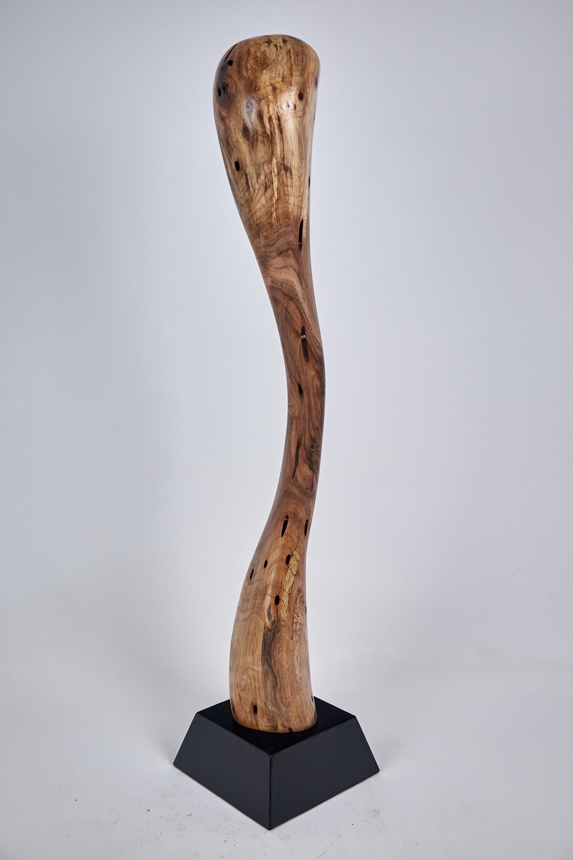 Logniture, scultura astratta in legno, intagliata con la motosega, noce in vendita 1