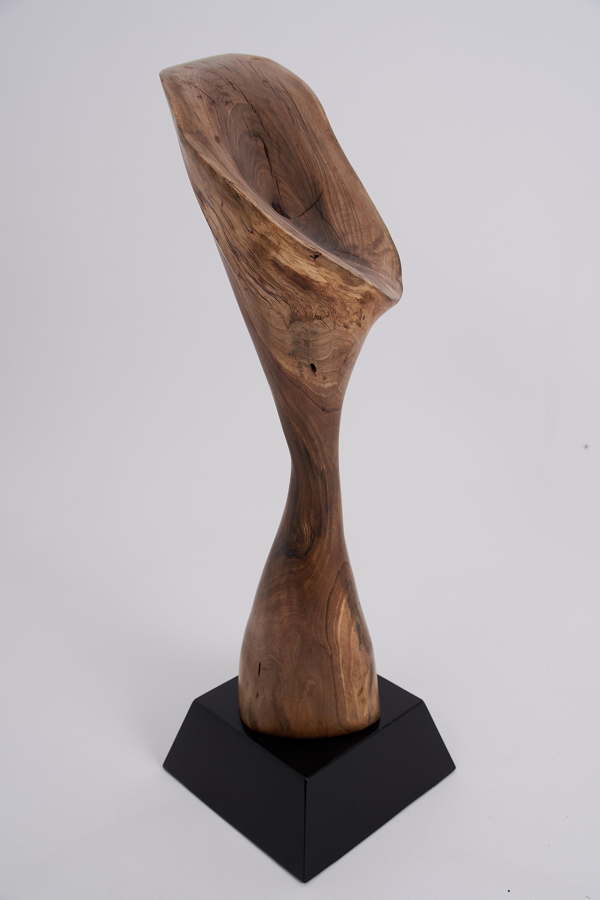 Logniture, Still Stand Abstract Wood Sculpture, Chainsaw Carved, Walnut For Sale 3