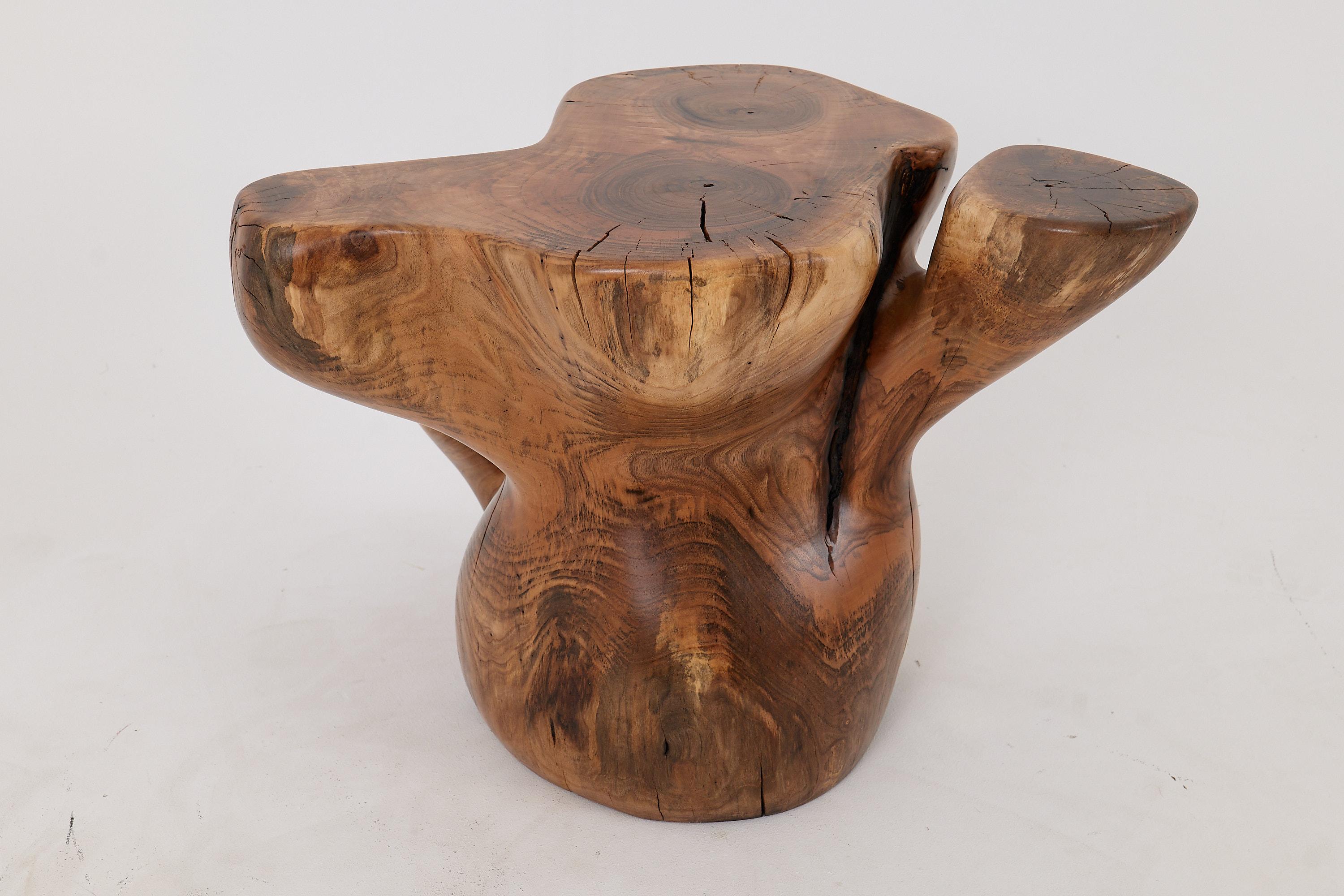 Logniture, Mesa Auxiliar Escultórica de Madera Maciza de Nogal, Original Diseño Contemporáneo 3