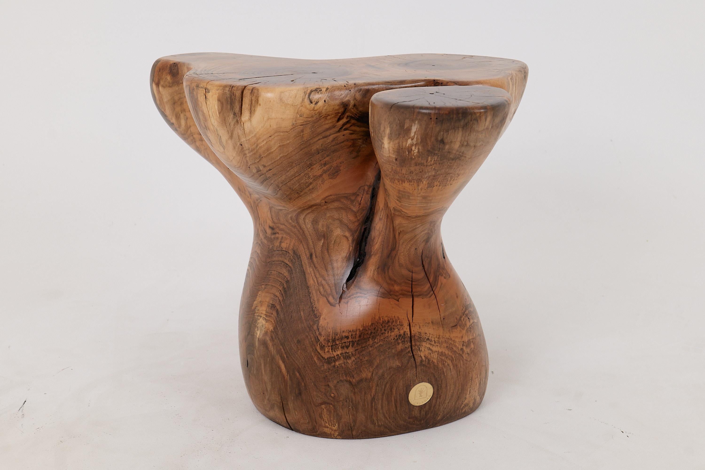Logniture, Mesa Auxiliar Escultórica de Madera Maciza de Nogal, Original Diseño Contemporáneo 4