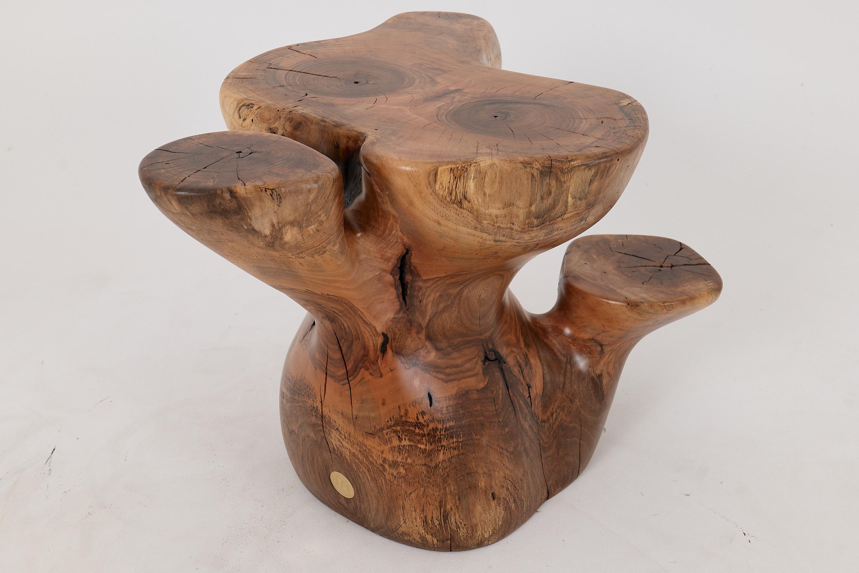 Logniture, Mesa Auxiliar Escultórica de Madera Maciza de Nogal, Original Diseño Contemporáneo 6