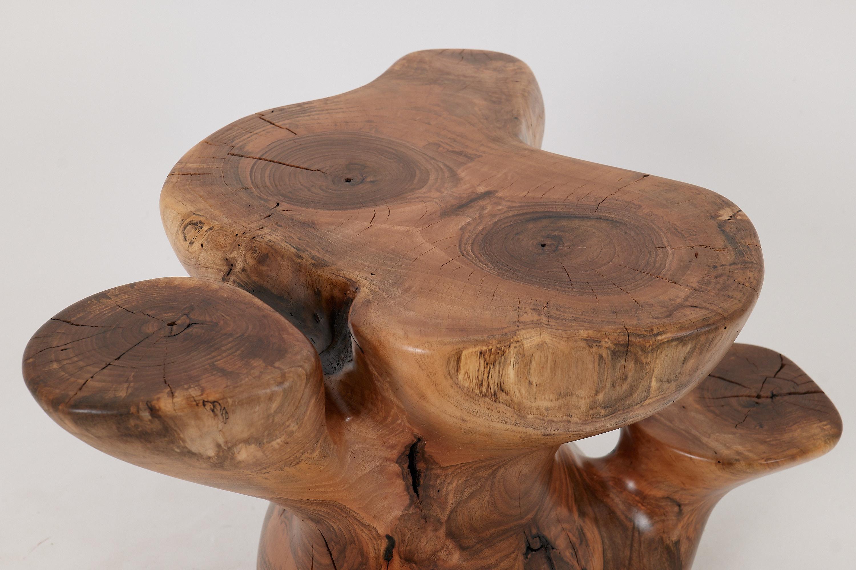 Logniture, Mesa Auxiliar Escultórica de Madera Maciza de Nogal, Original Diseño Contemporáneo 7