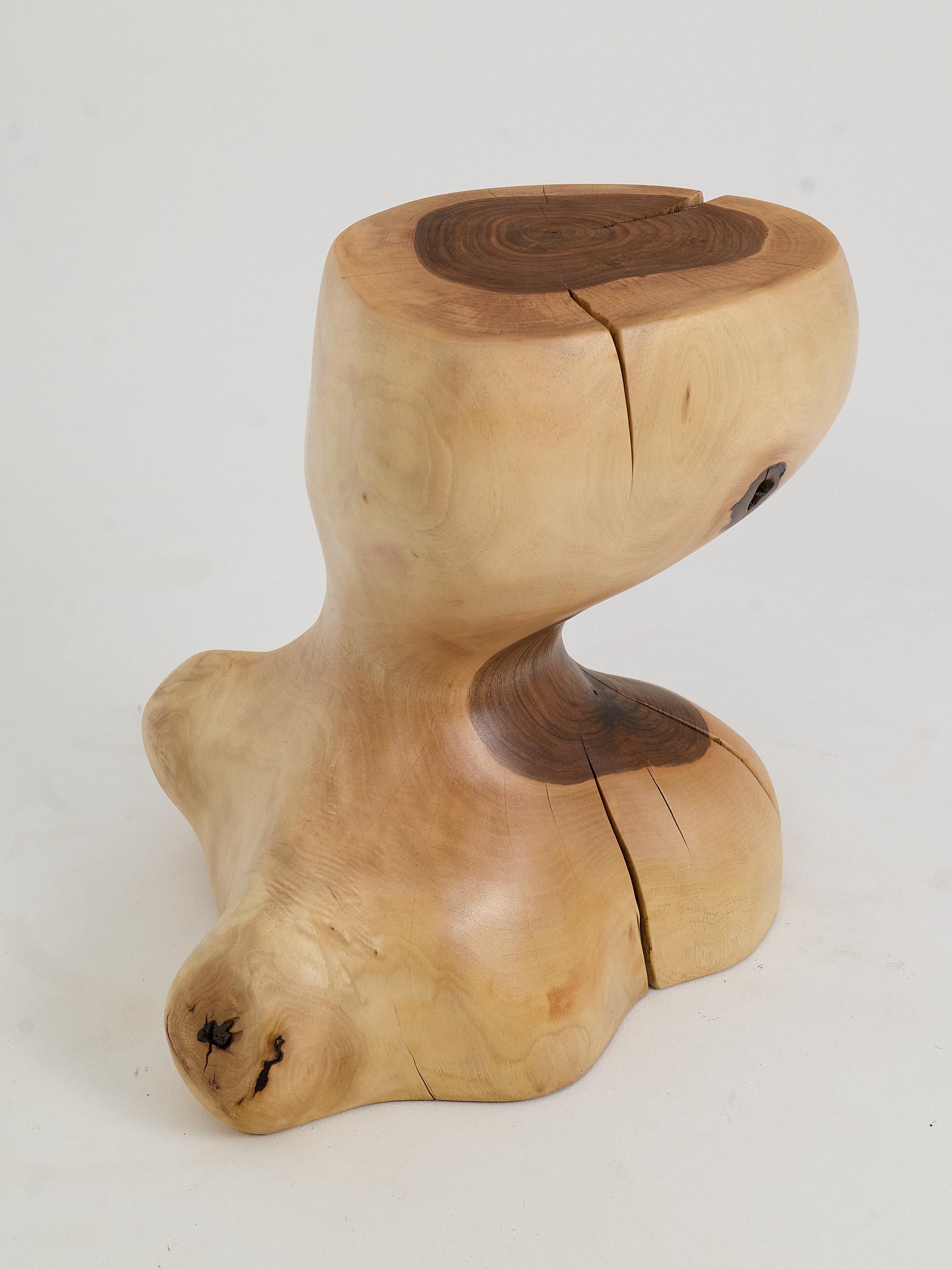 Logniture, Mesa Auxiliar Escultórica de Madera Maciza de Nogal, Original Diseño Contemporáneo en venta 8