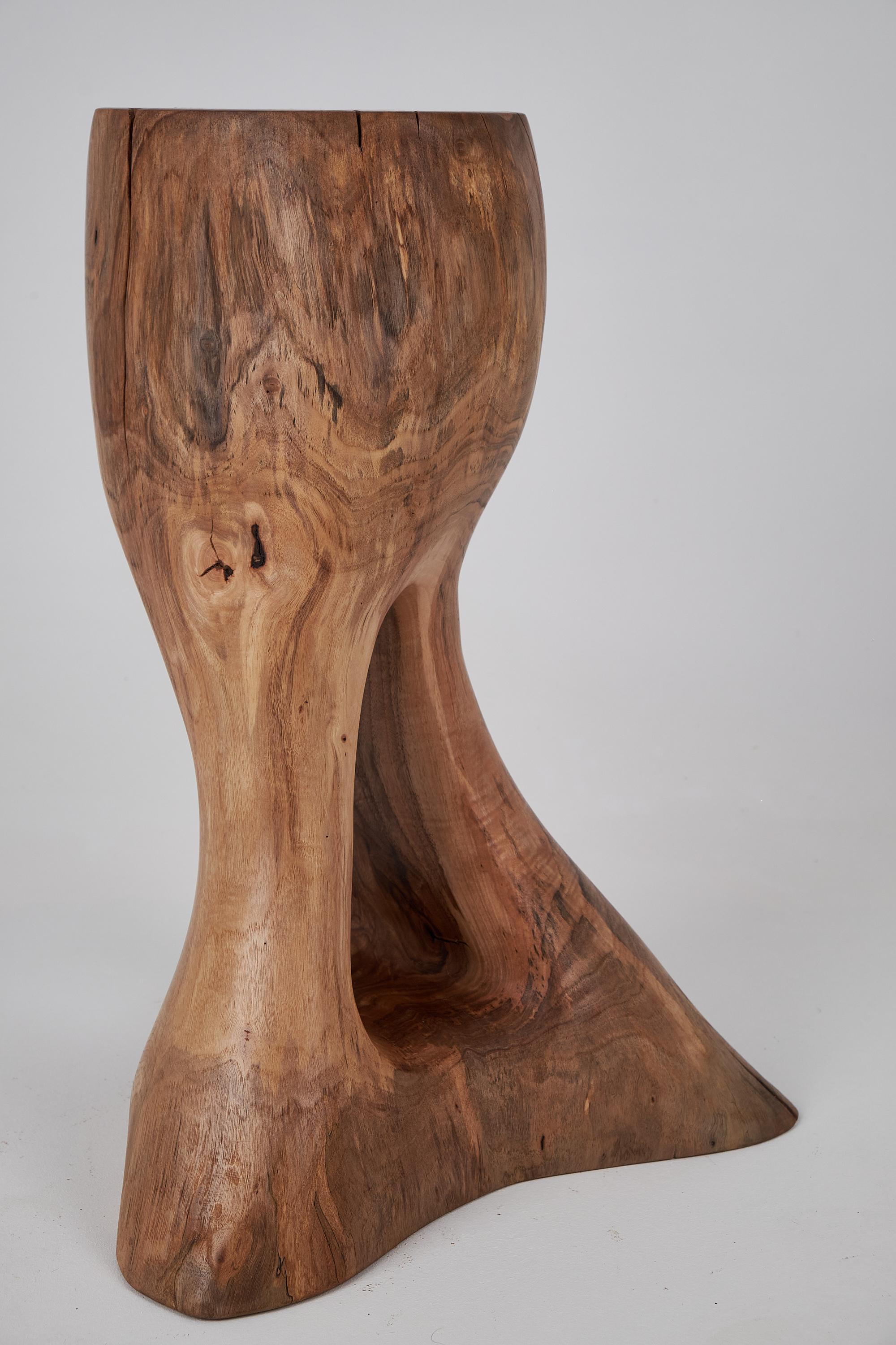 Einzigartige, mit der Kettensäge geschnitzte, funktionelle Holzskulptur, die auch als Beistelltisch verwendet werden kann. Aus einem einzigen Stück Holz geschnitzt und mit hochwertigsten Ölen geschützt, garantiert es eine Haltbarkeit über