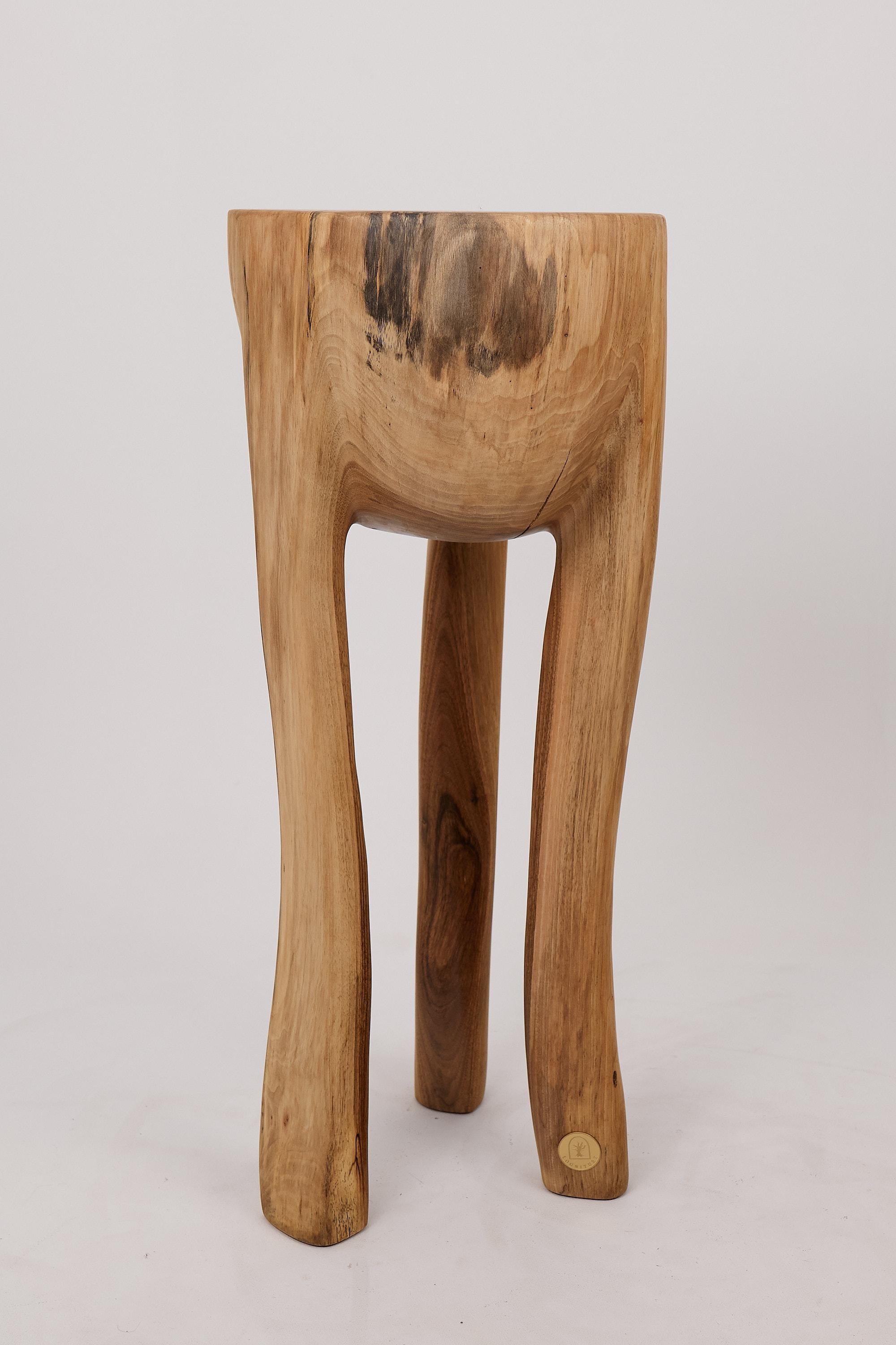 Einzigartige, mit der Kettensäge geschnitzte, funktionelle Holzskulptur, die auch als Beistelltisch verwendet werden kann. Aus einem einzigen Stück Holz geschnitzt und mit hochwertigsten Ölen geschützt, garantiert es eine Haltbarkeit über